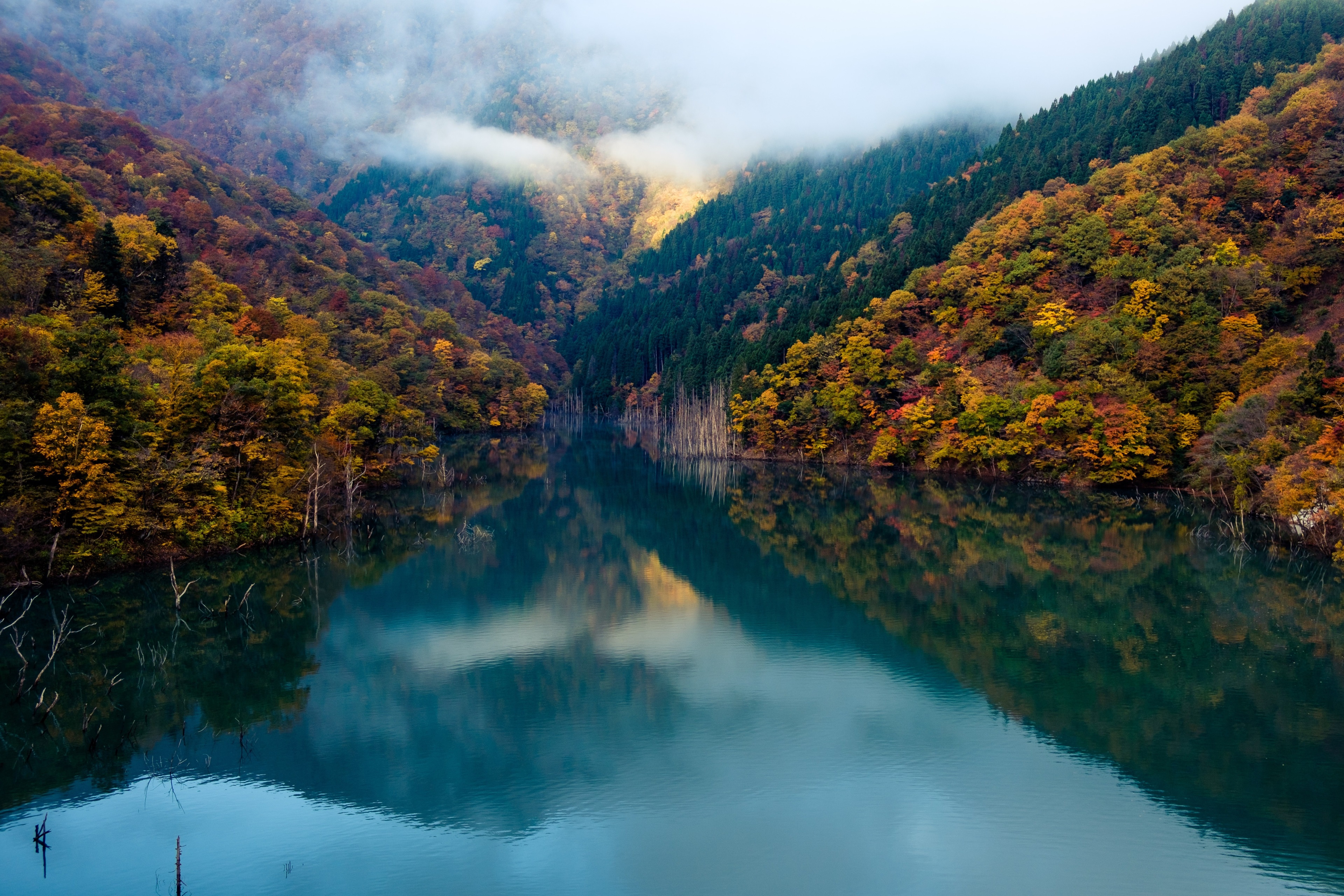 Autumn forest reflected in a calm lake HD Wallpaper
