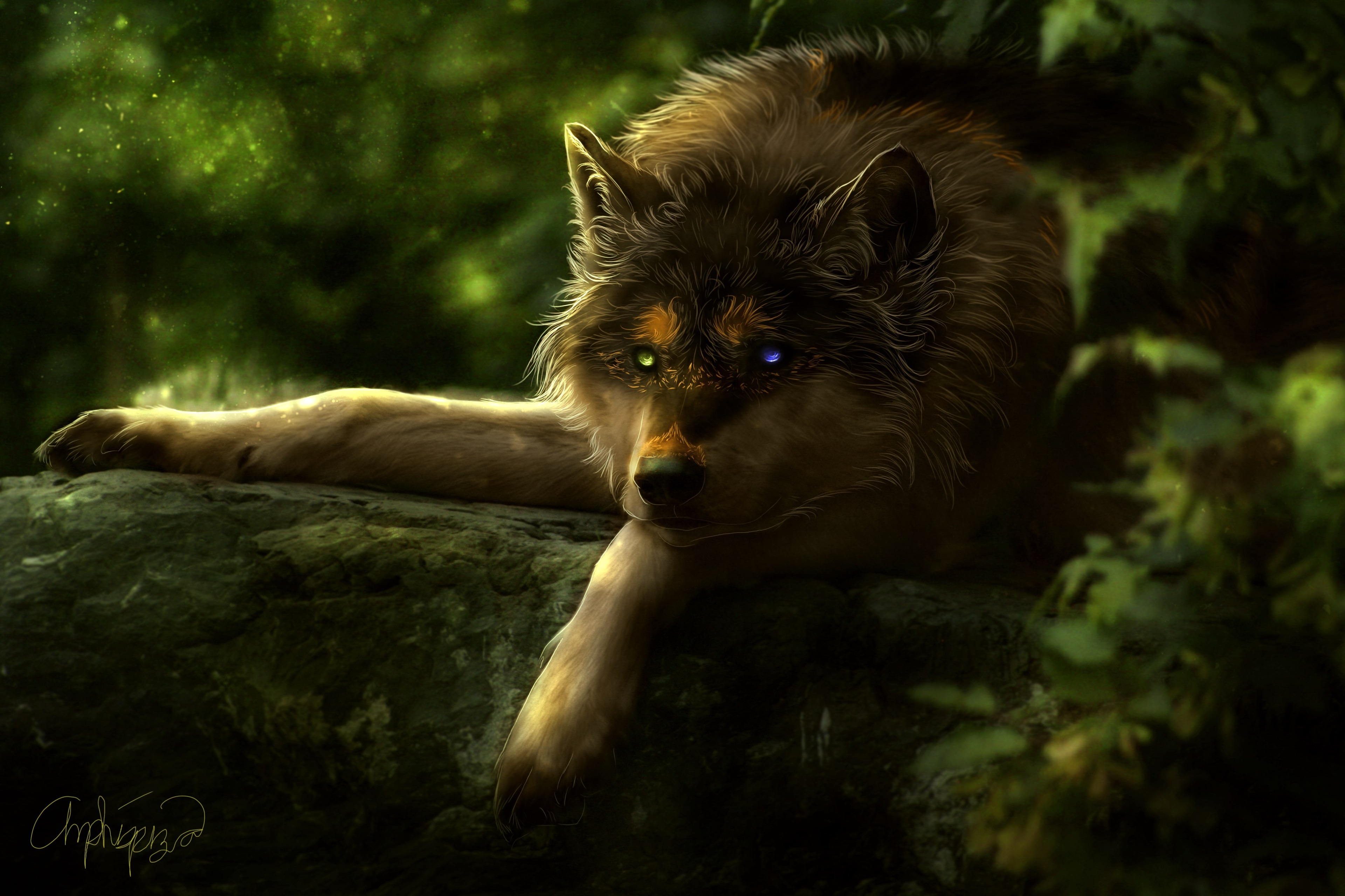Wolf with heterochromia on a rock HD Wallpaper