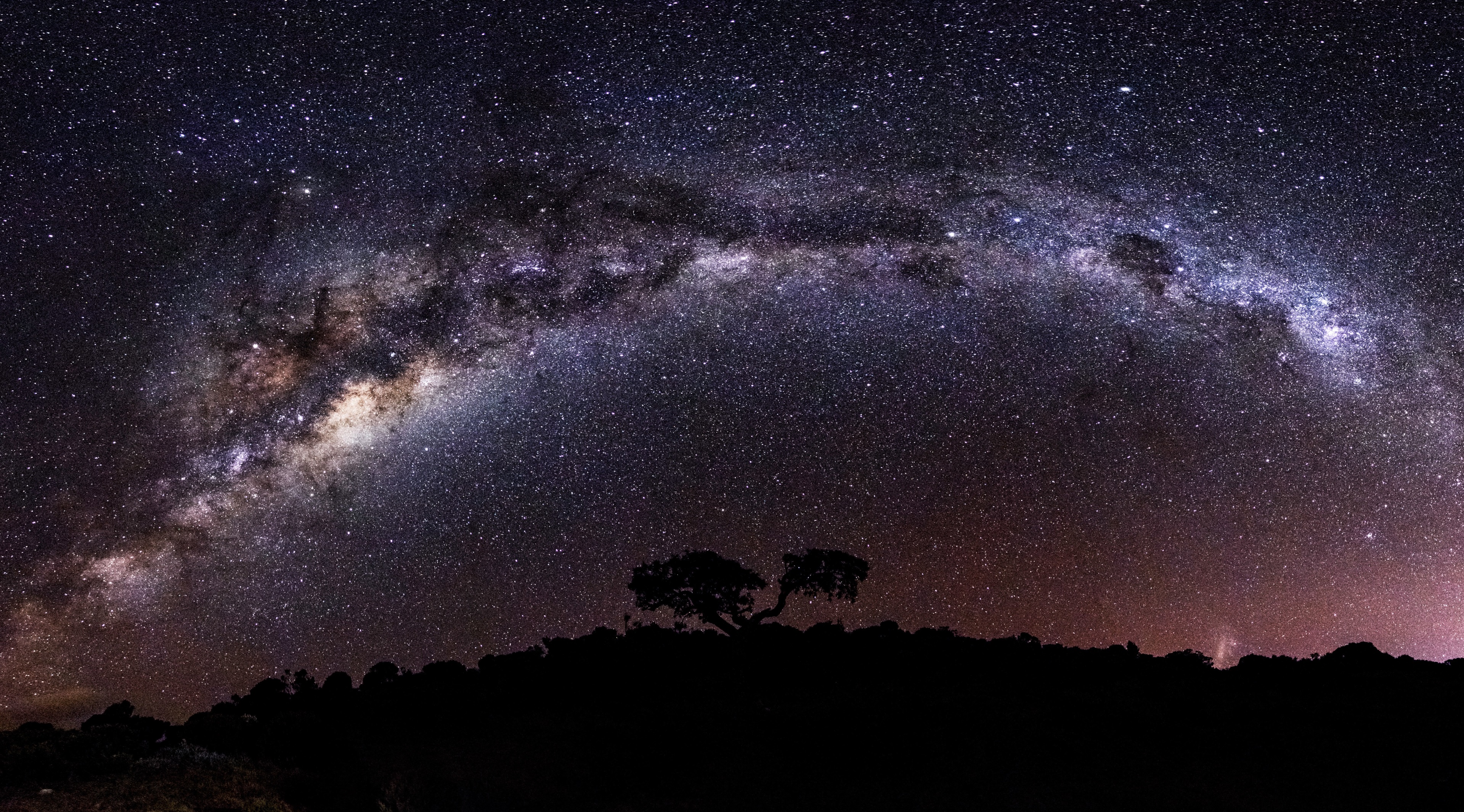 Milky Way Arch over Silhouetted Trees 4K HD Wallpaper