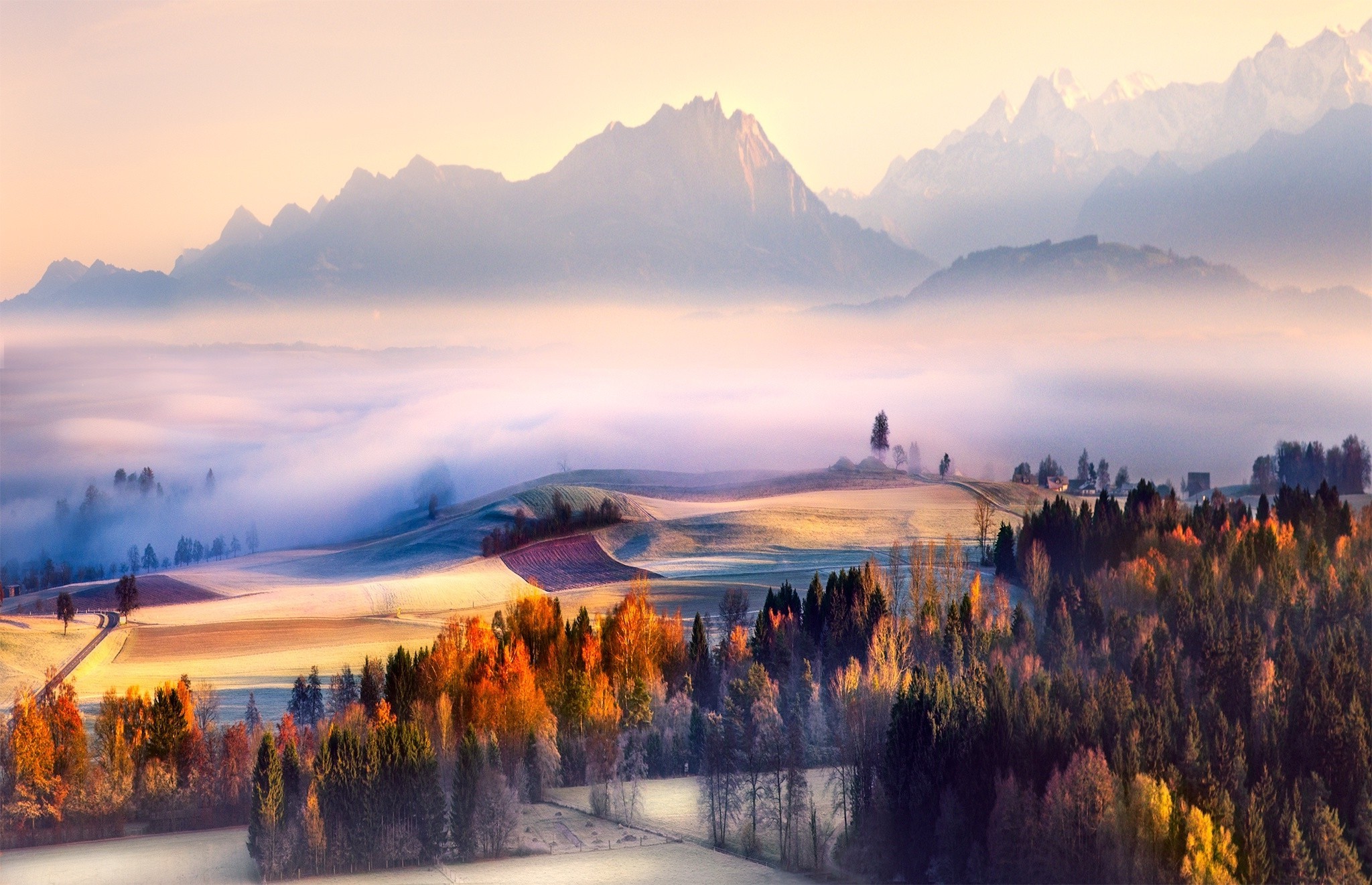 Mountain valley with mist and autumn forest HD Wallpaper