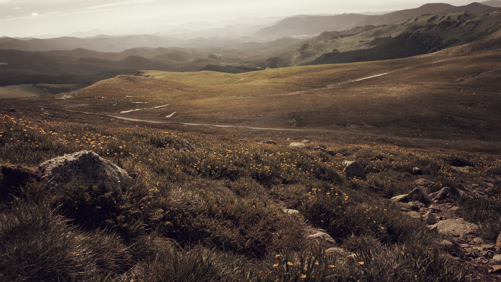 Mountain landscape with wildflowers and rolling hills HD Wallpaper