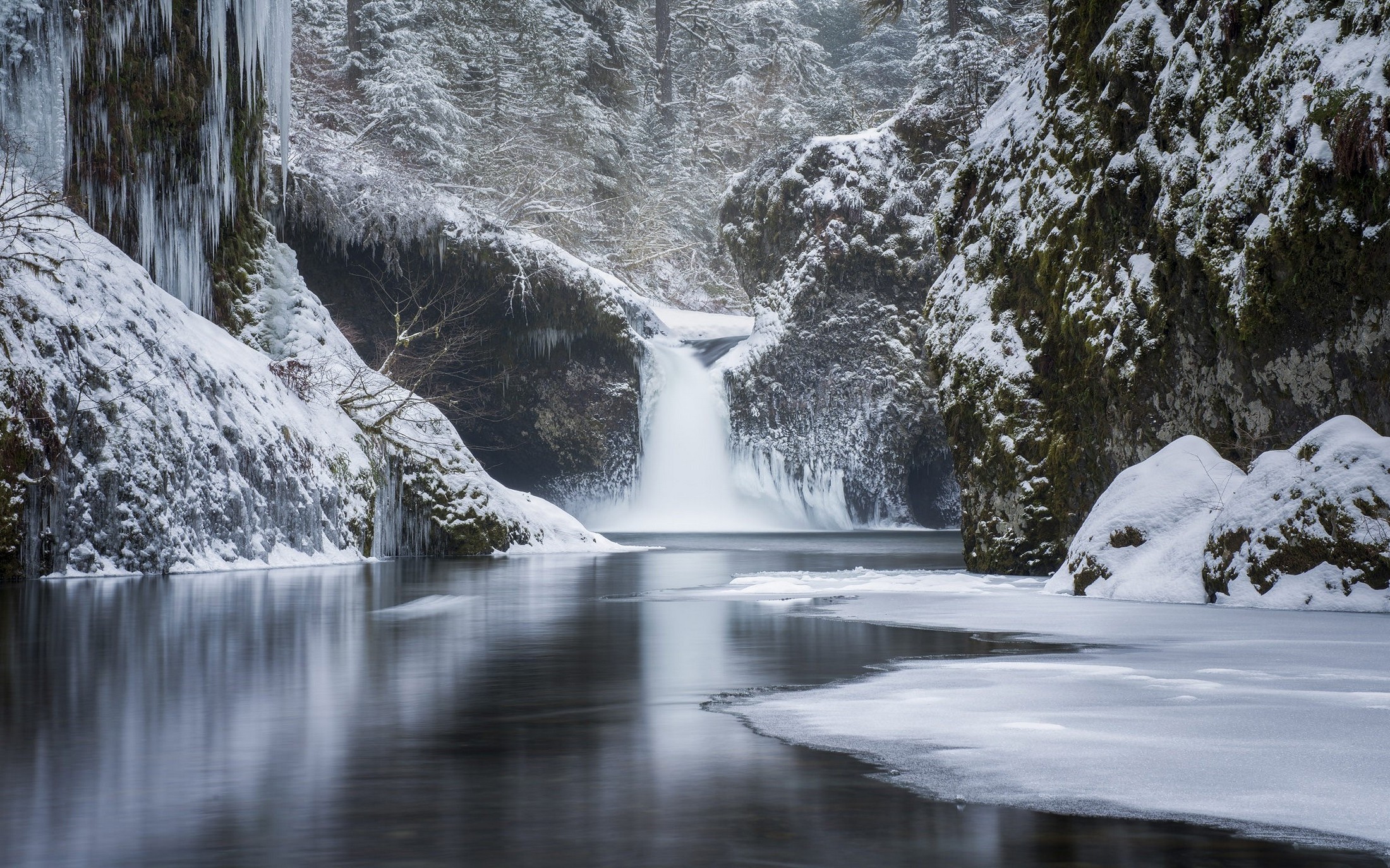 Snowy waterfall in a winter forest with icy cliffs HD Wallpaper
