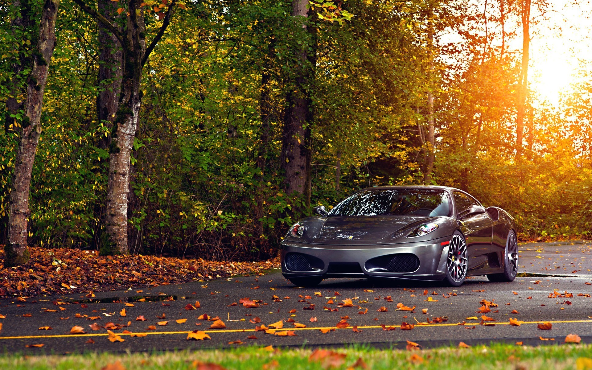 Ferrari F430 Scuderia in Fall HD Wallpaper