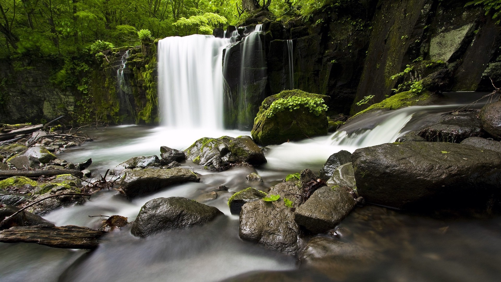 Waterfall in a lush green forest with rocks HD Wallpaper