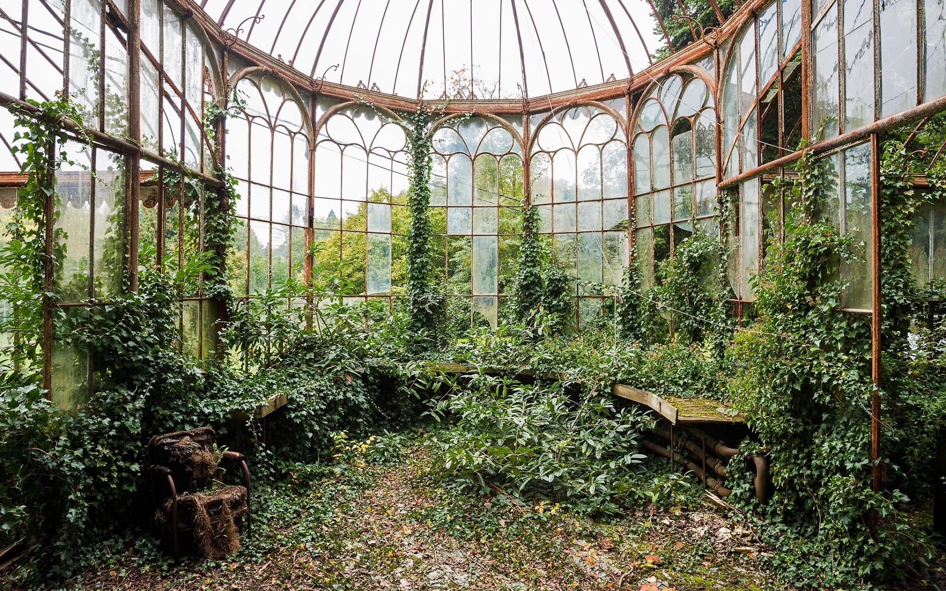 Overgrown abandoned greenhouse with ivy HD Wallpaper