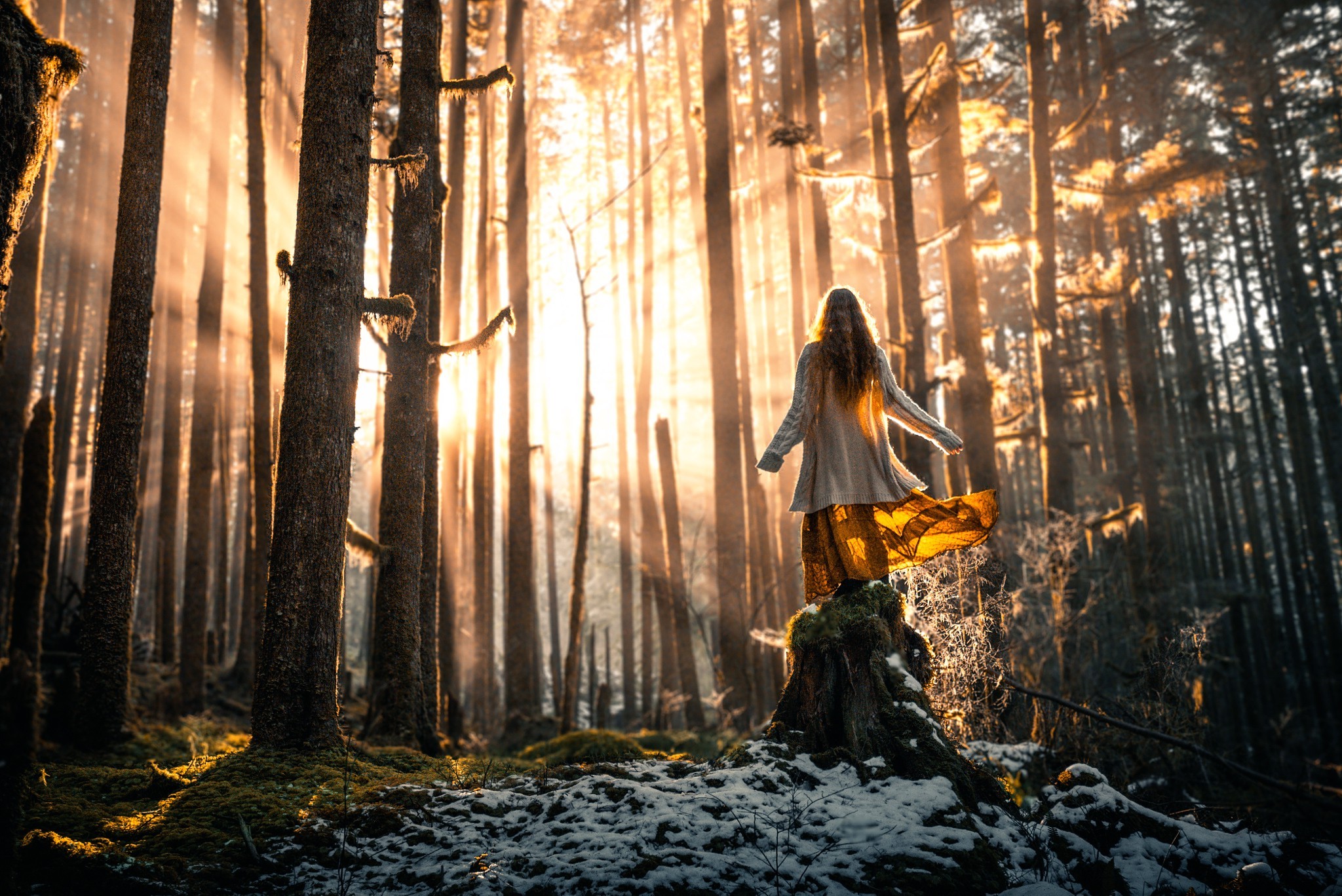Woman in a forest with sunbeams HD Wallpaper