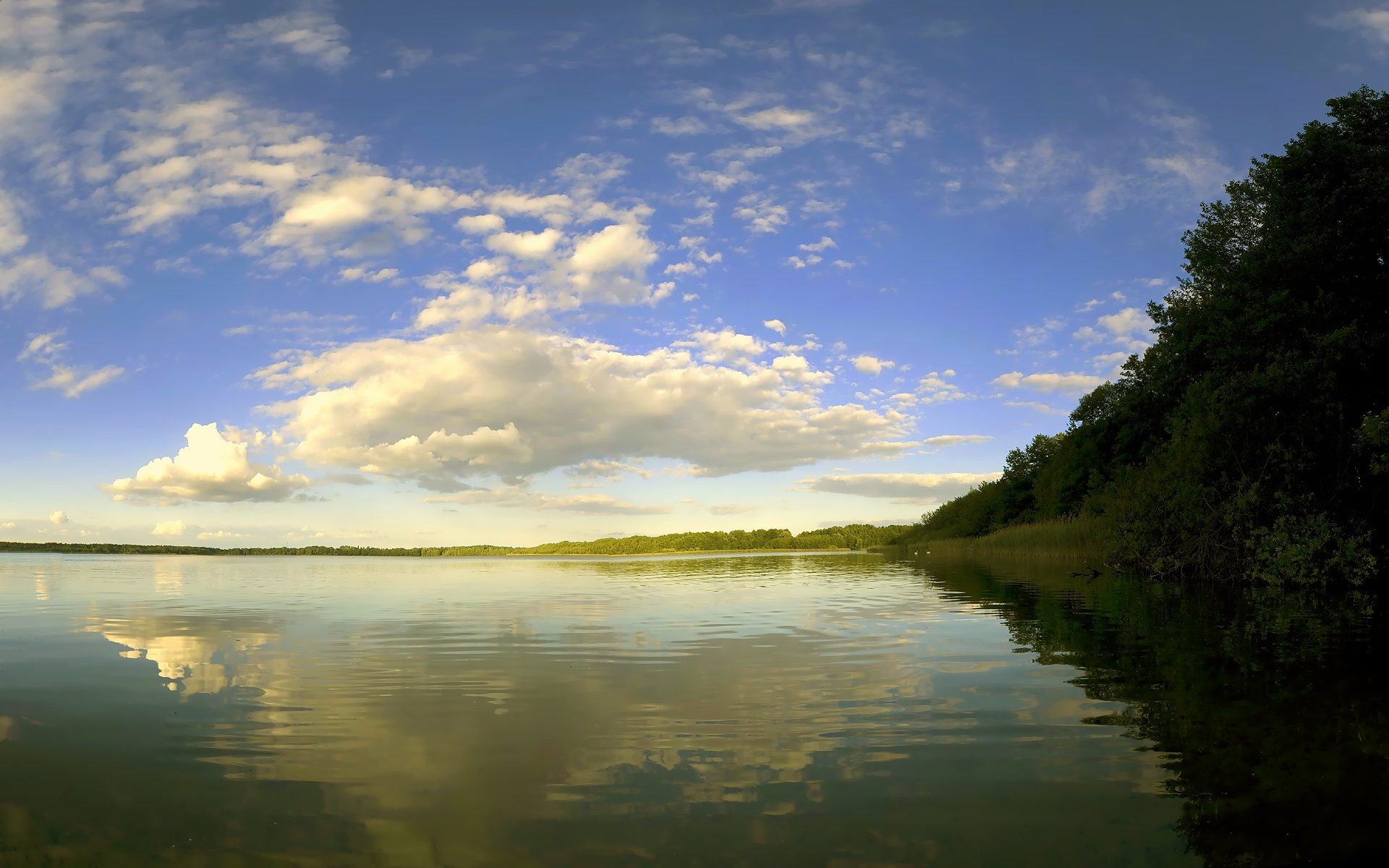 Lake with trees and clouds HD Wallpaper