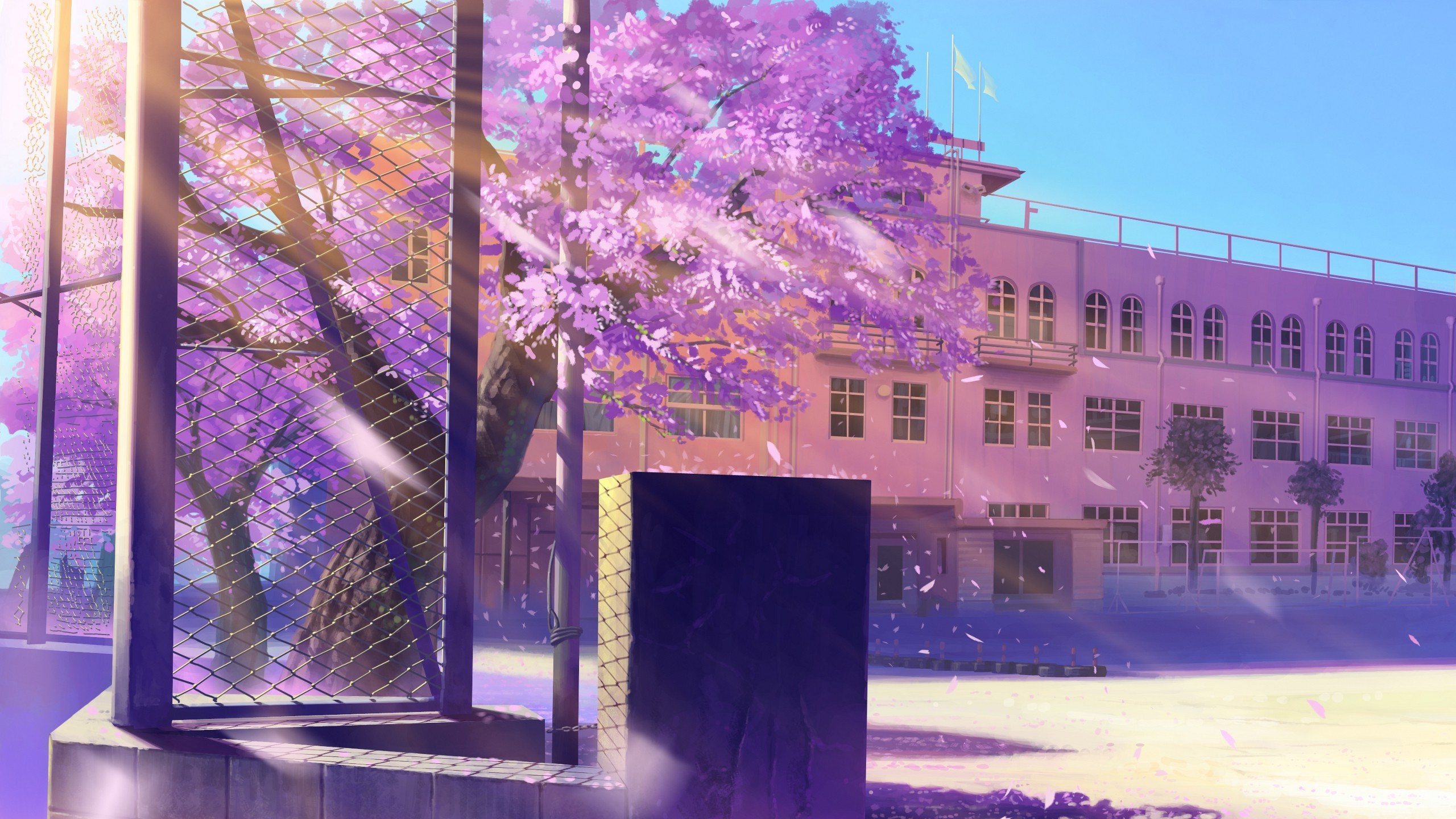 Anime school building with cherry blossoms HD Wallpaper
