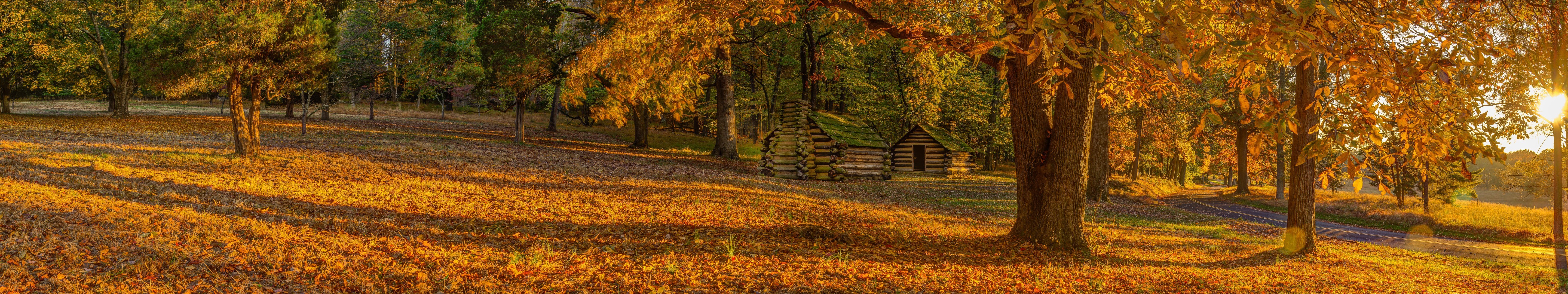 Log cabins in a park during fall with sun HD Wallpaper