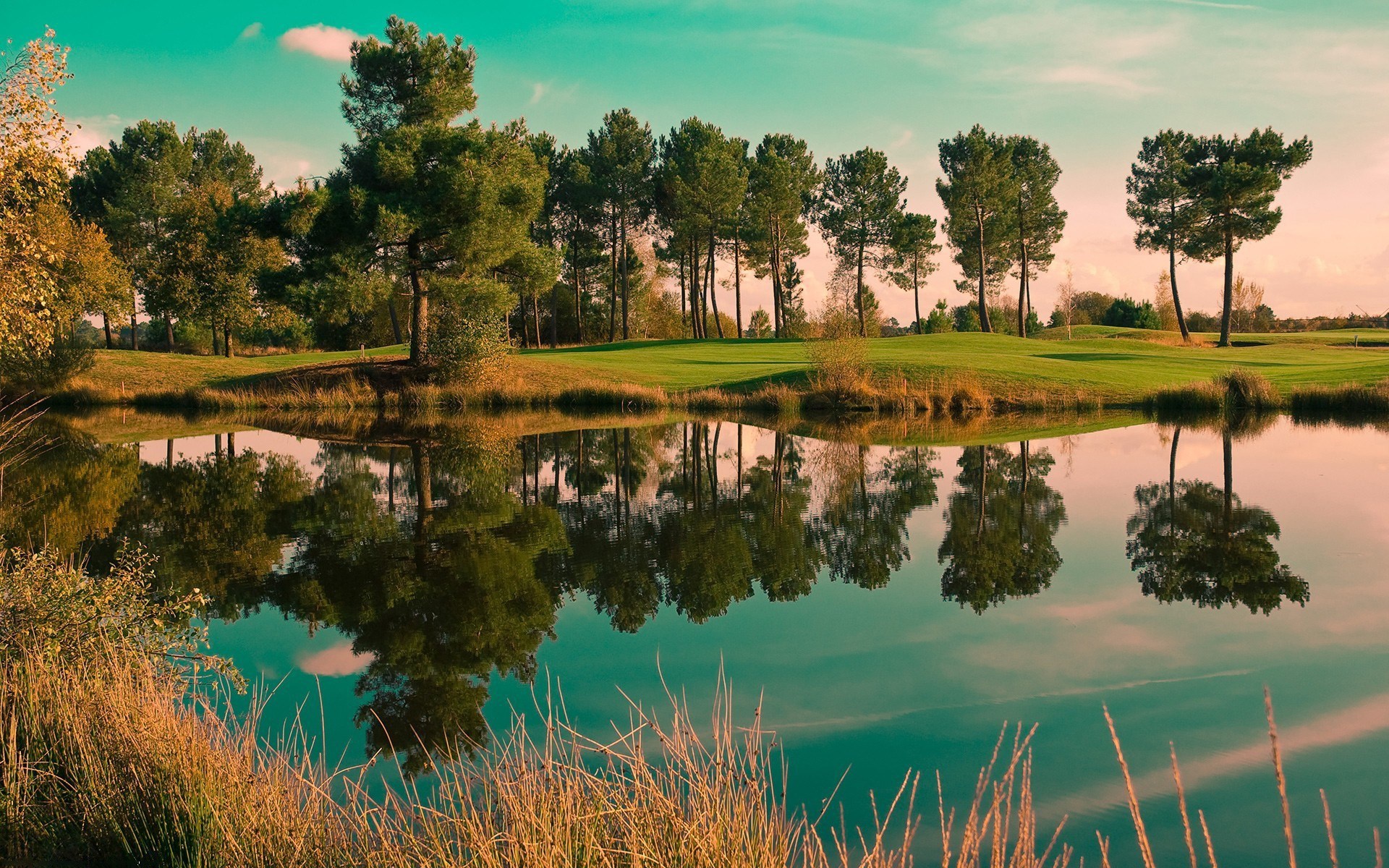 Trees reflected in a calm lake with a golf course in the background HD Wallpaper