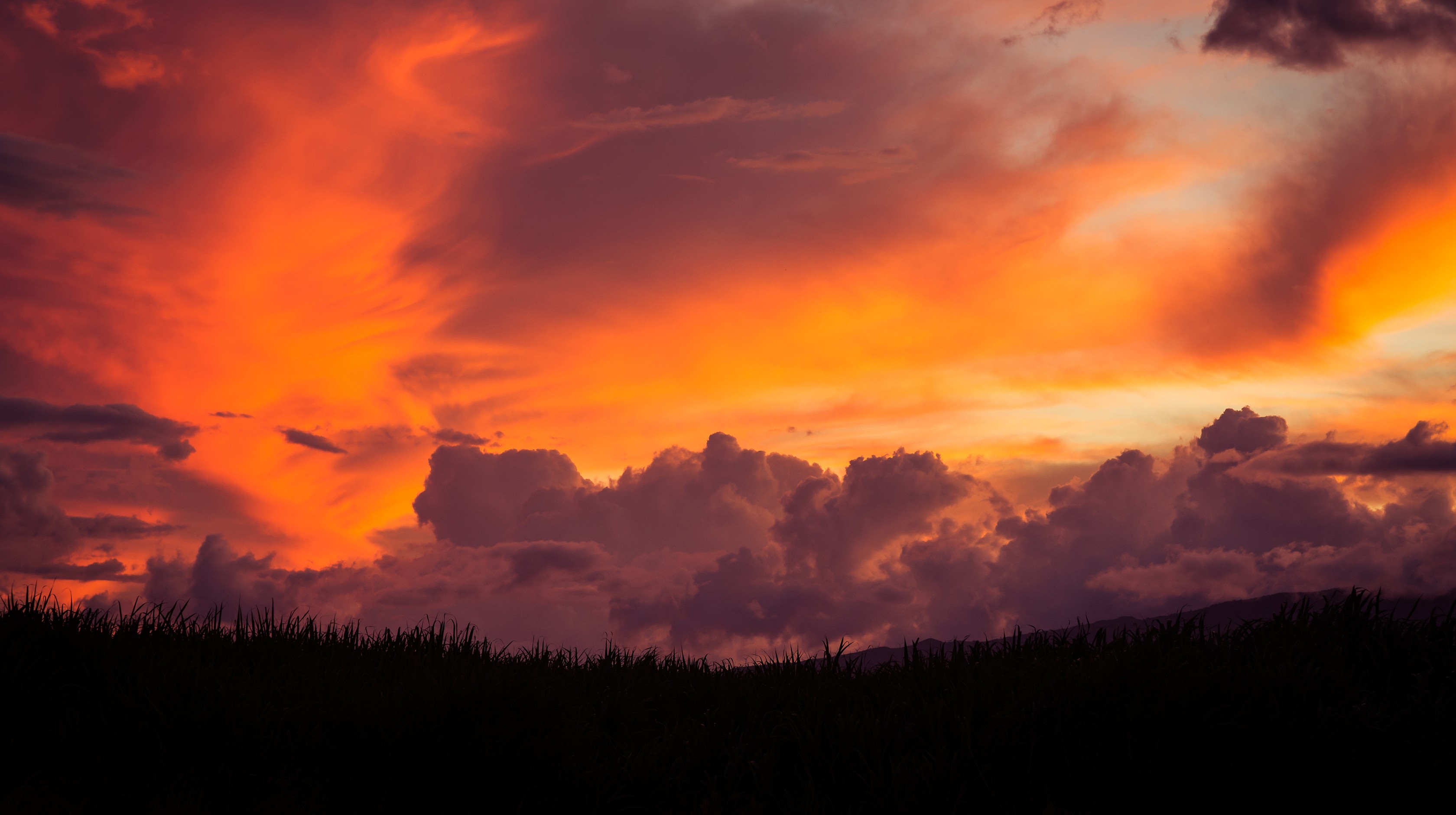 Fiery sunset clouds over silhouetted grass HD Wallpaper