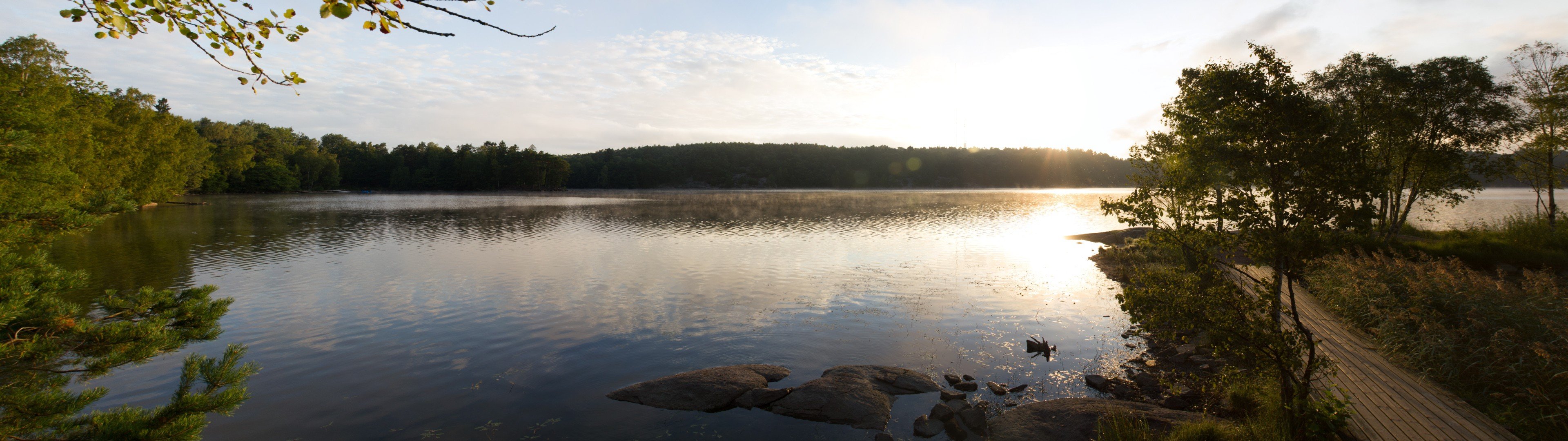 Lake surrounded by trees at sunrise with wooden path HD Wallpaper