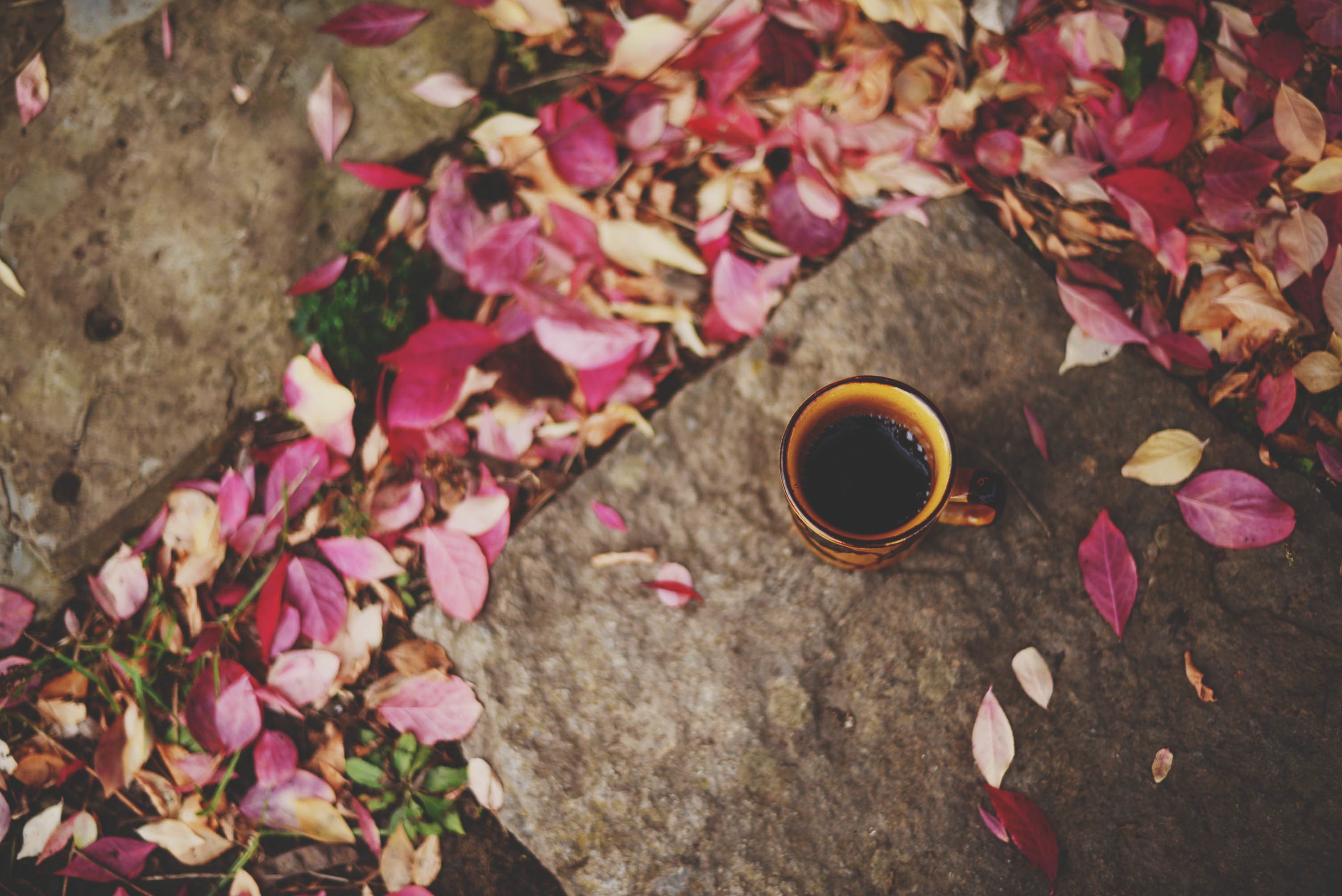 Cup of coffee surrounded by fall leaves on stone HD Wallpaper