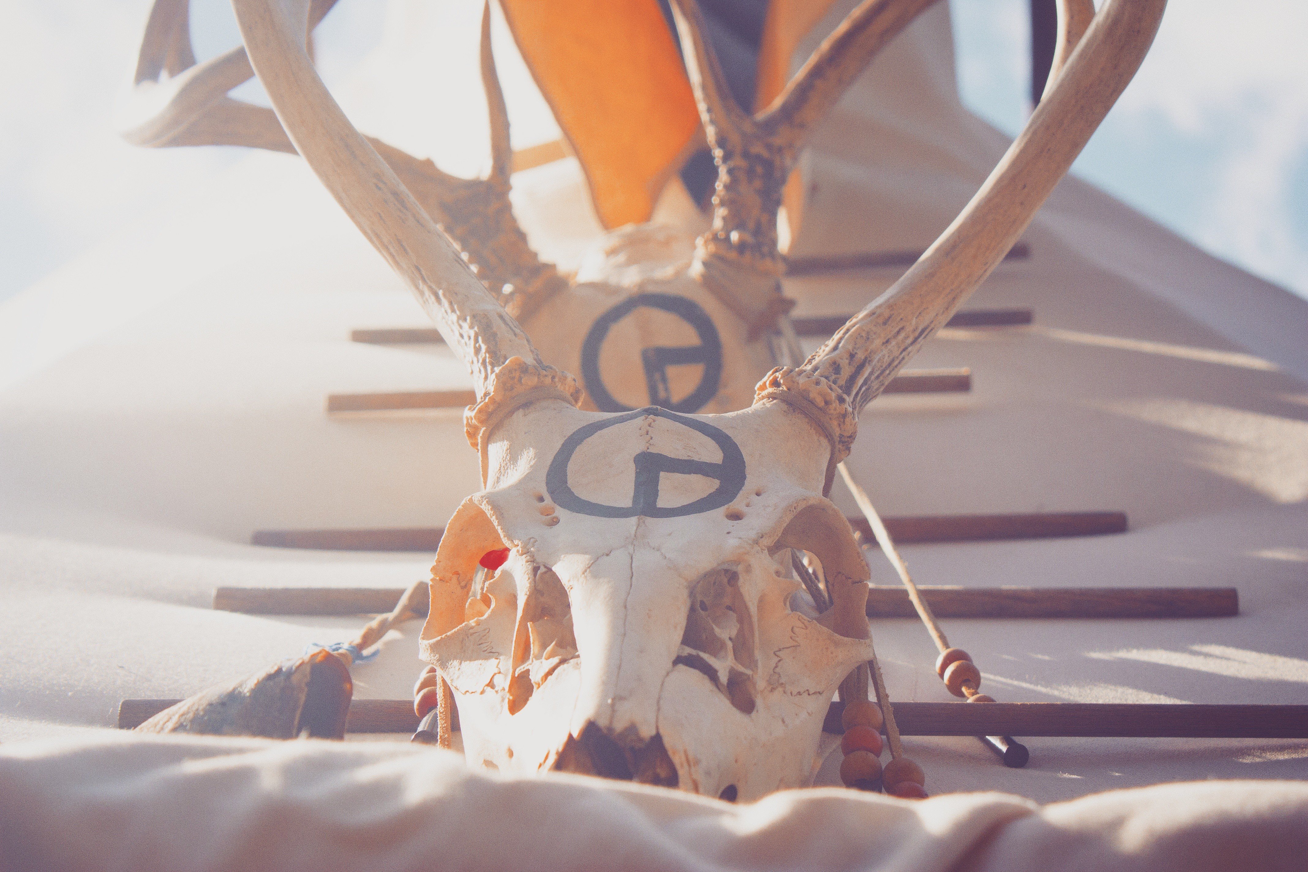 Deer skull with tribal markings and antlers HD Wallpaper