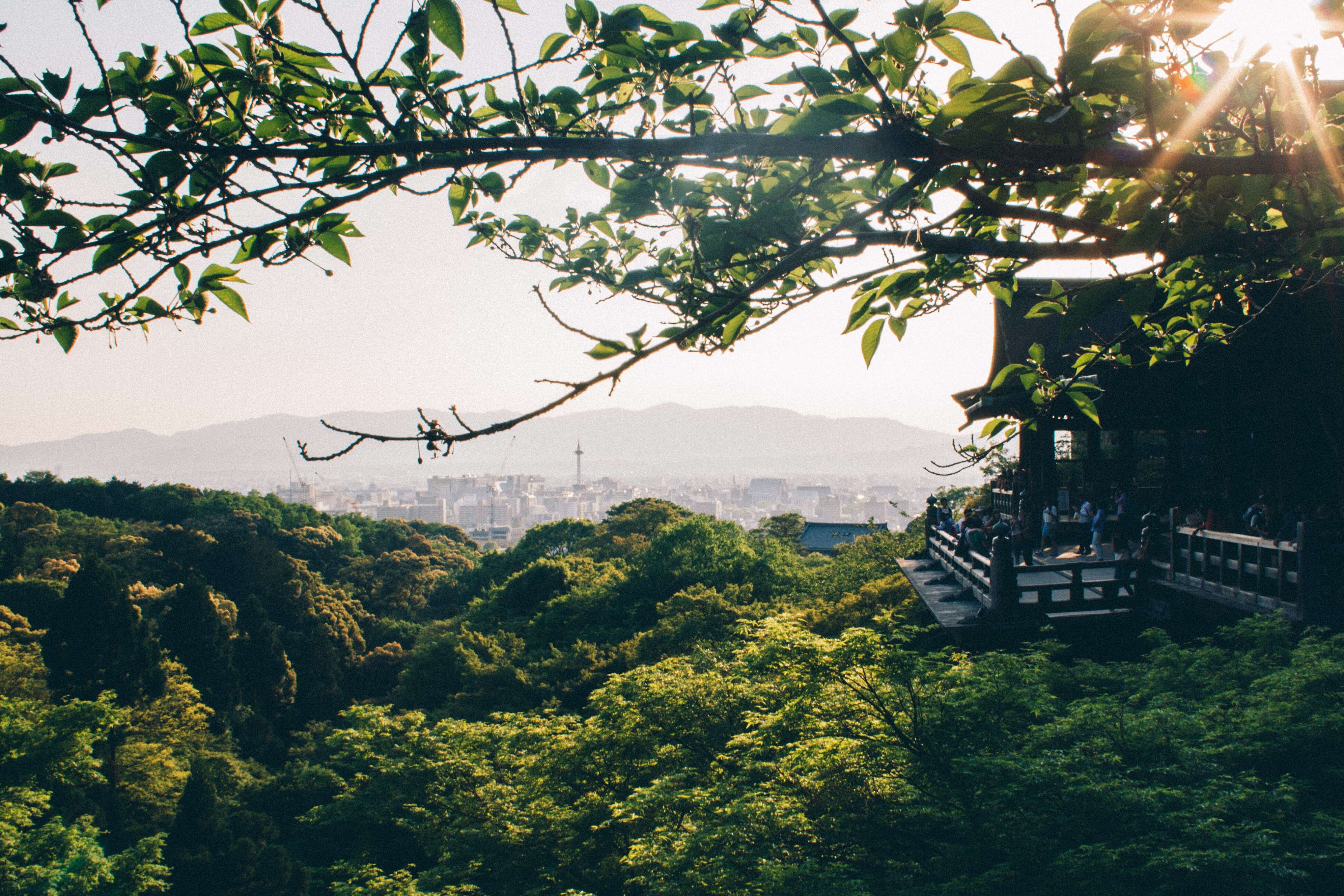 Kyoto temple overlooking city and mountains HD Wallpaper