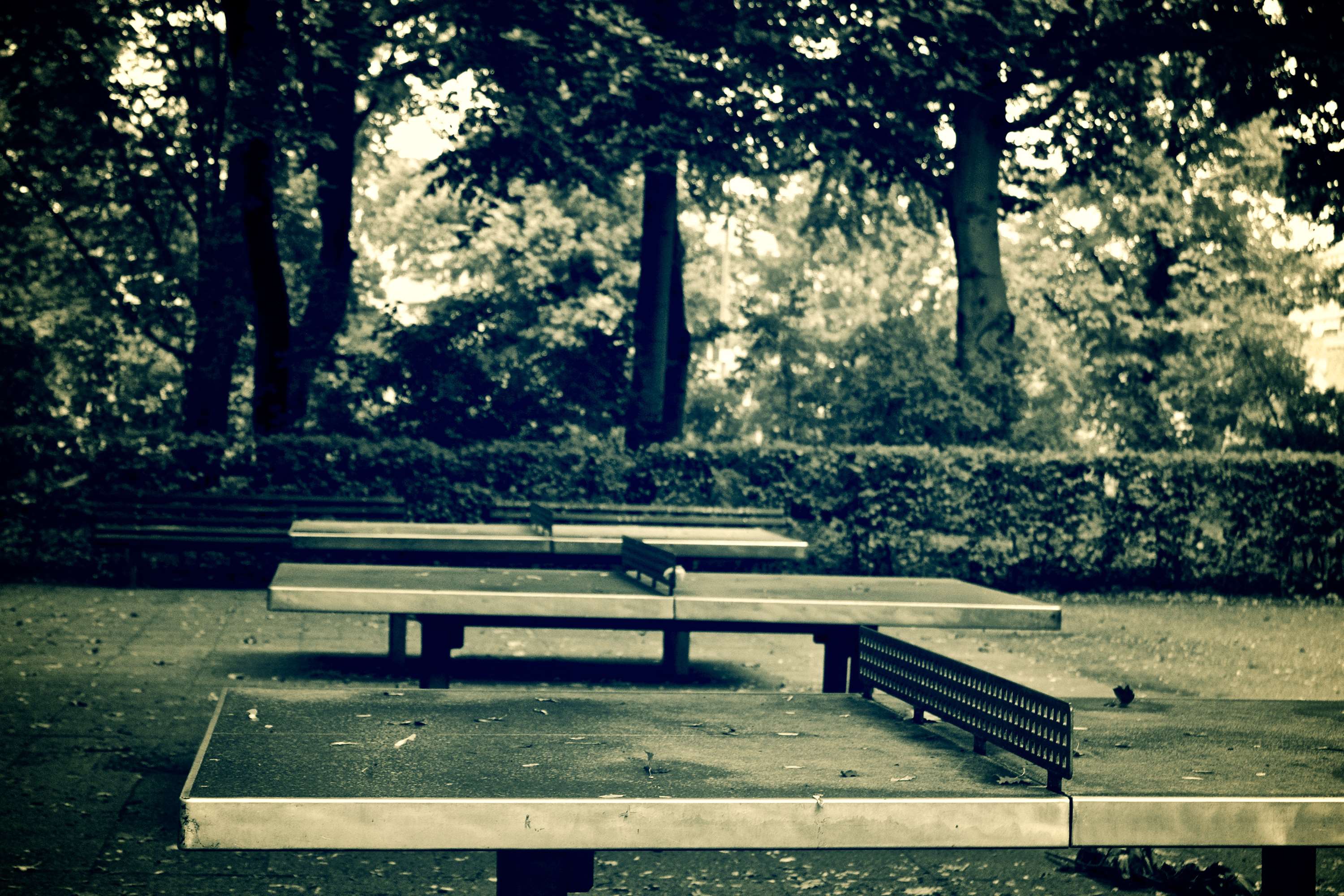 Outdoor ping pong tables in a park HD Wallpaper