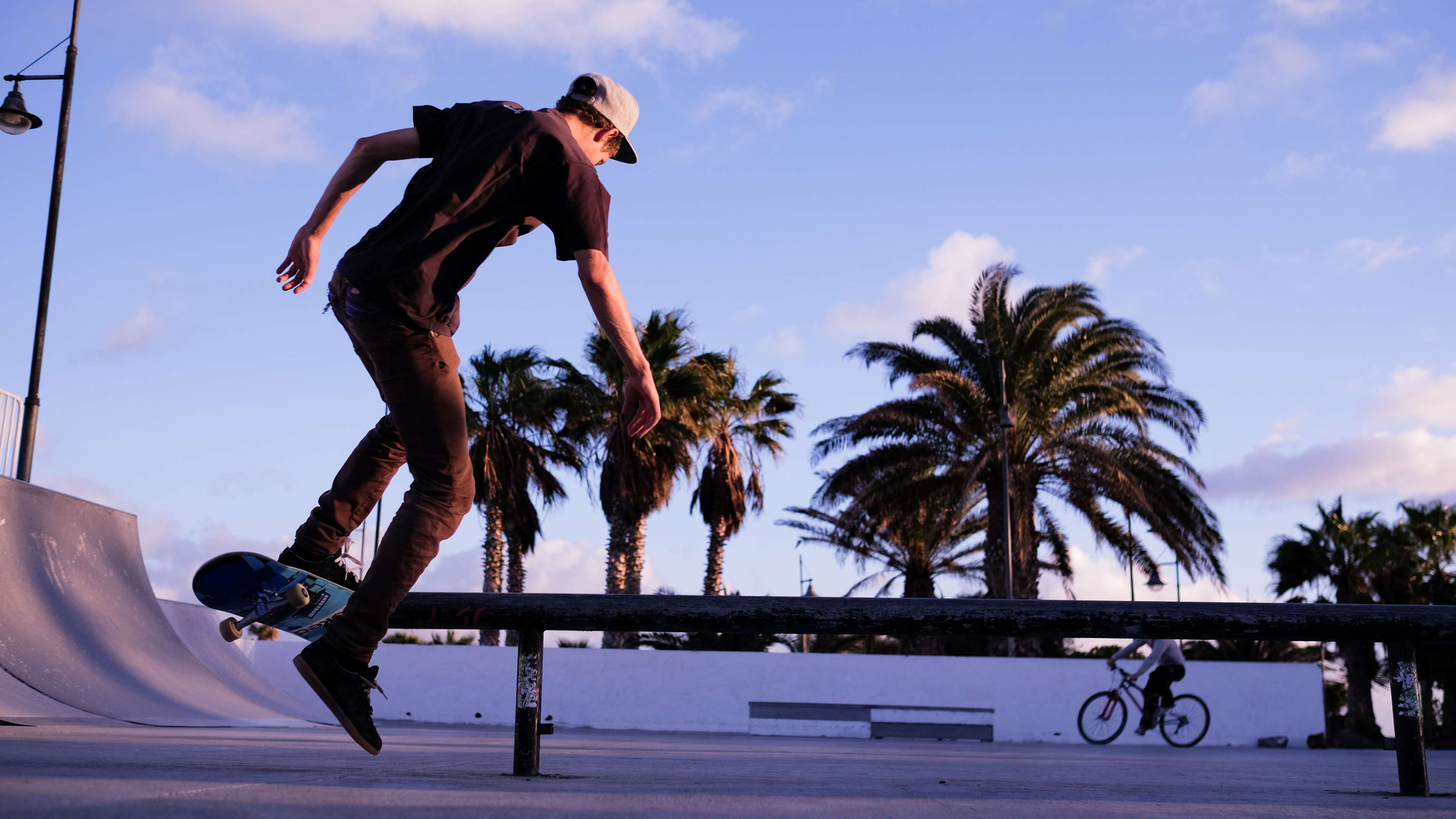 Skateboarder performing a trick in a skatepark with palm trees HD Wallpaper
