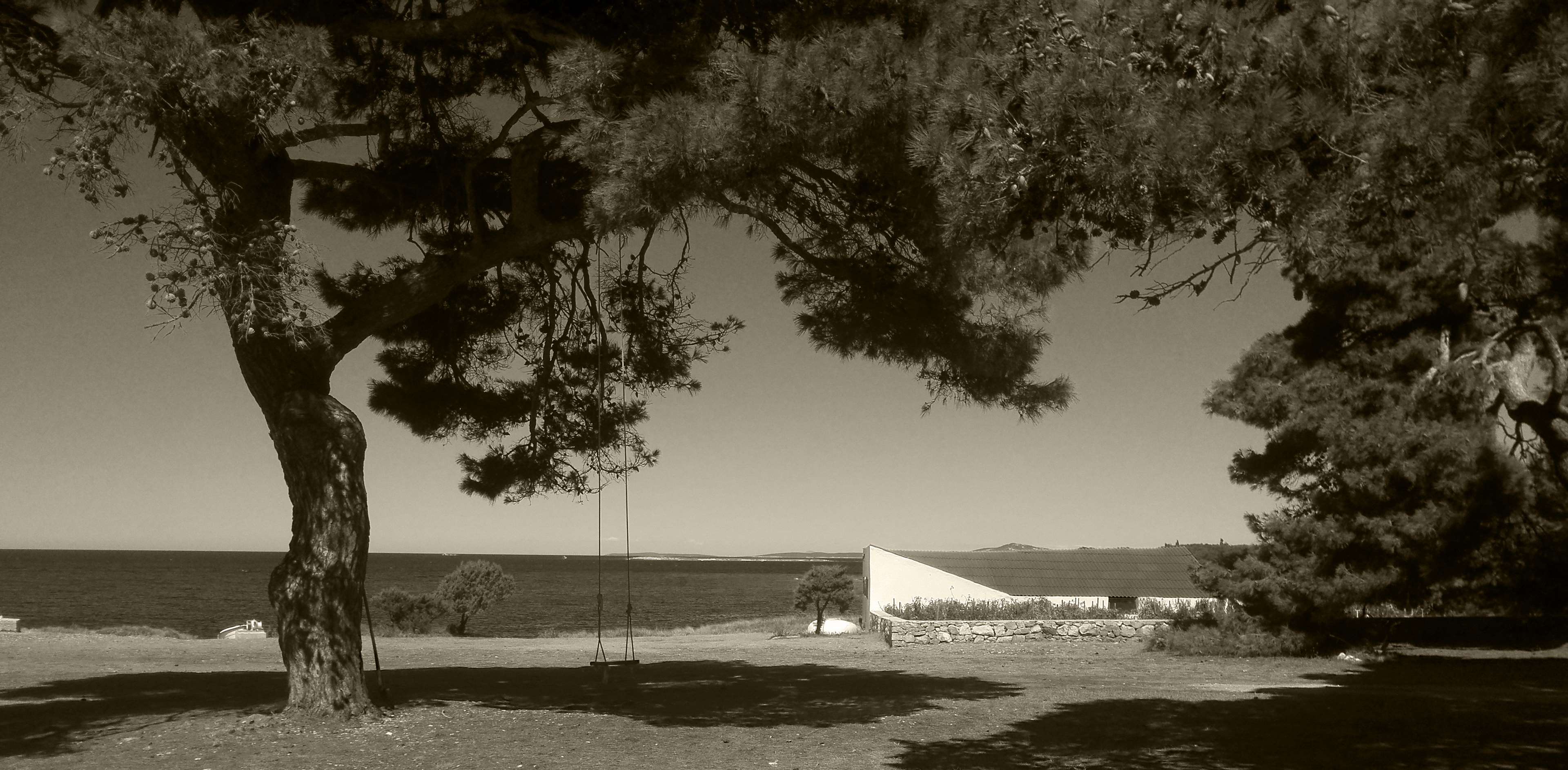 Black and white island scene with swing and trees HD Wallpaper