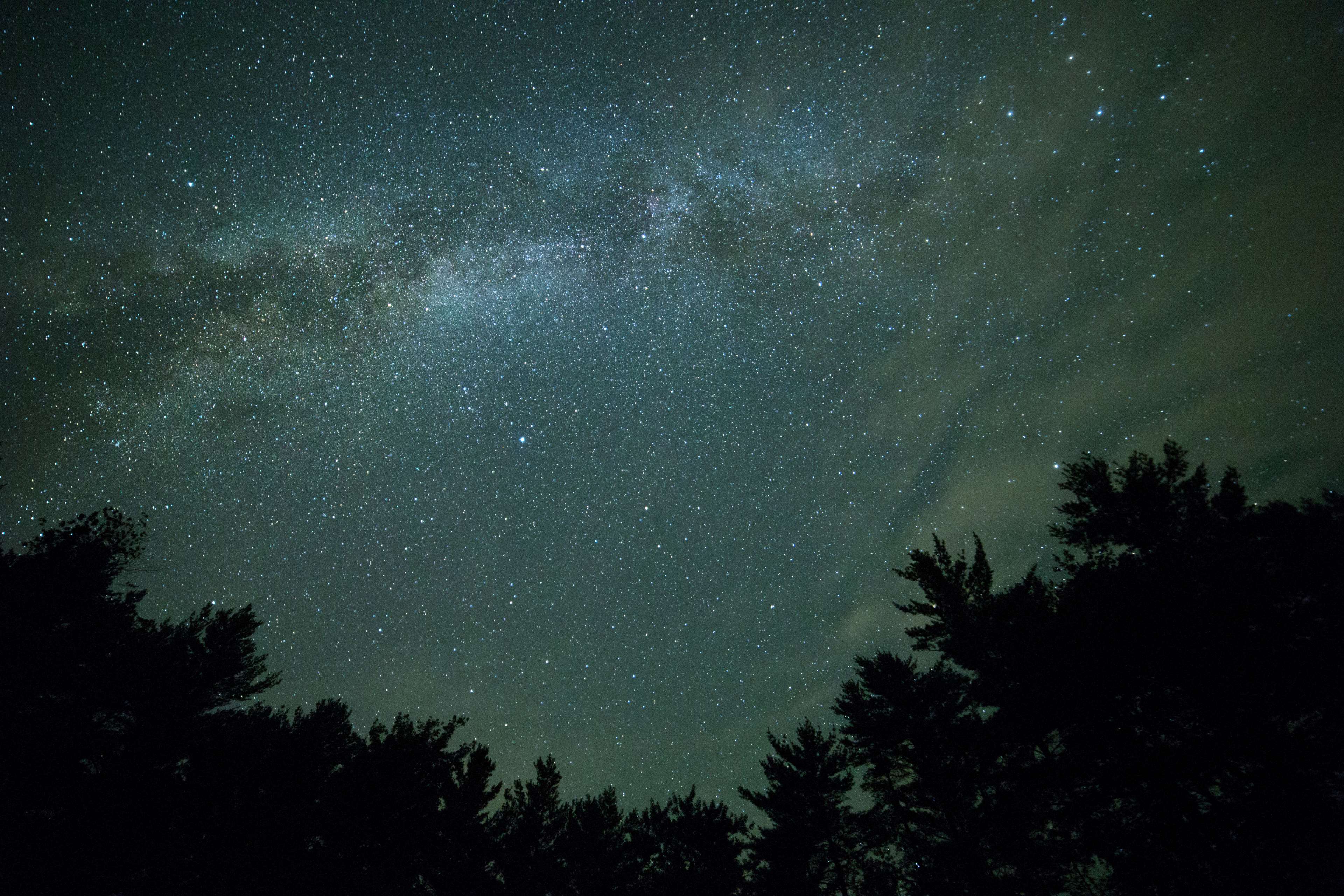 Milky Way Galaxy Over Silhouetted Trees HD Wallpaper