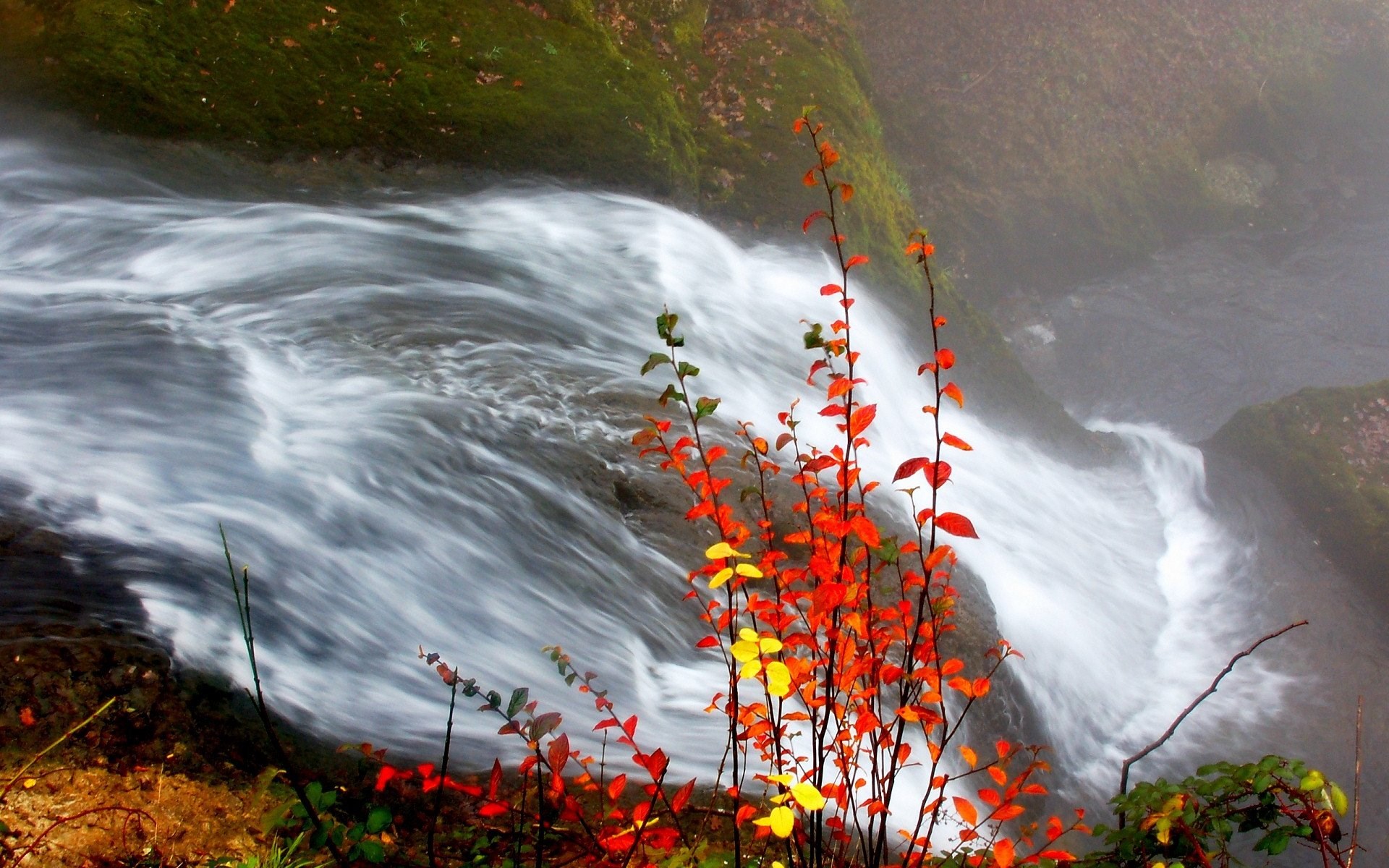 Autumn leaves by a flowing waterfall HD Wallpaper