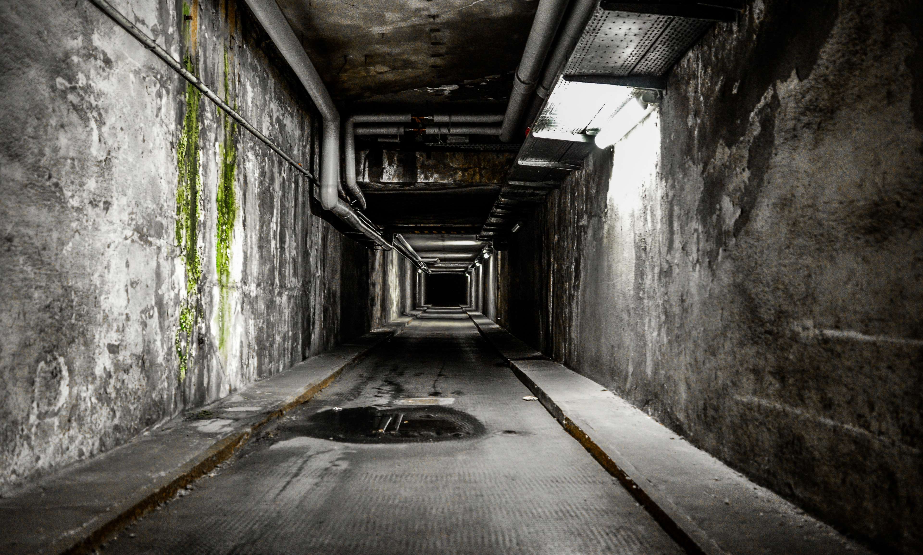 Dark, damp tunnel with pipes and moss HD Wallpaper