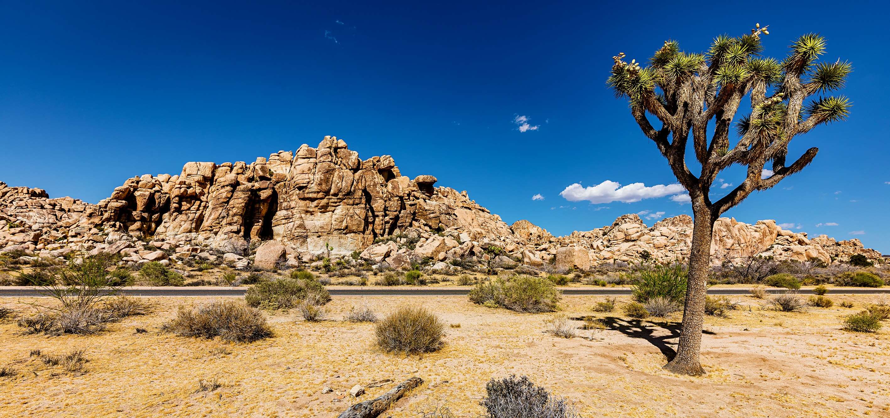 Joshua Tree National Park, California, USA HD Wallpaper