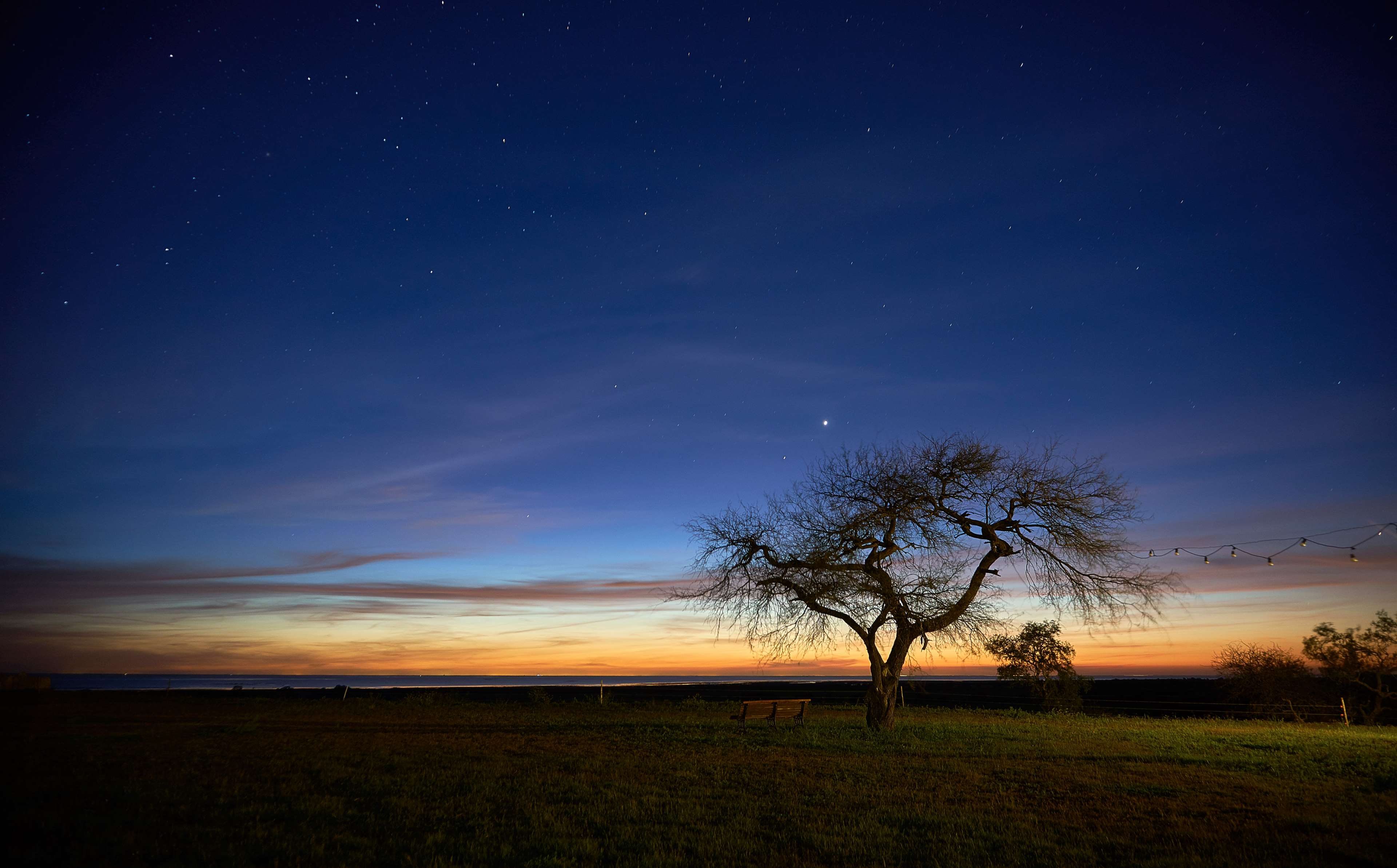 Tree under starry sky at sunset 4K HD Wallpaper