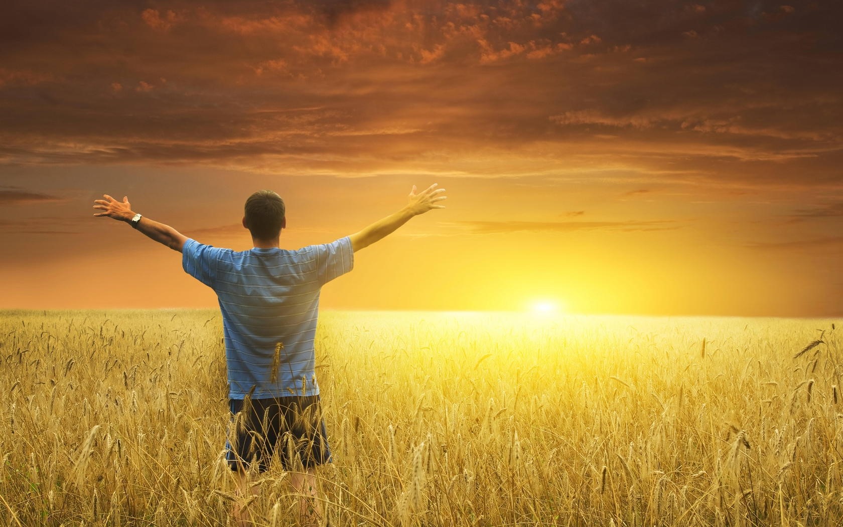 Man with arms raised in a wheat field at sunset HD Wallpaper