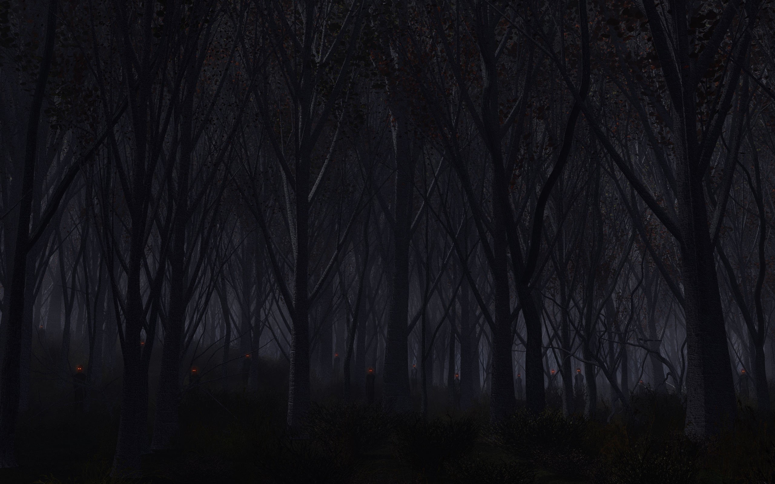 Dark forest with glowing eyes HD Wallpaper