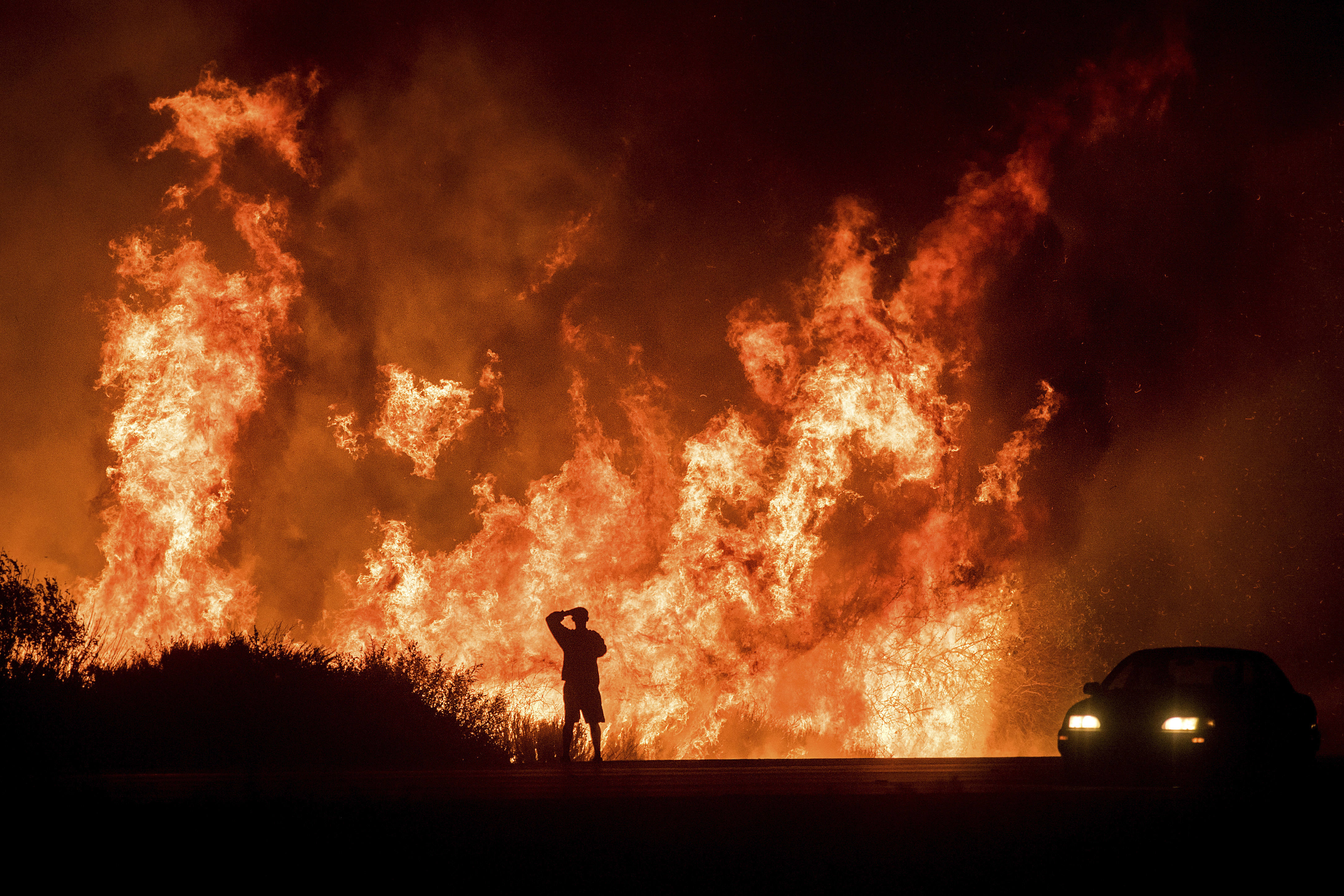 Man watching a massive wildfire at night HD Wallpaper