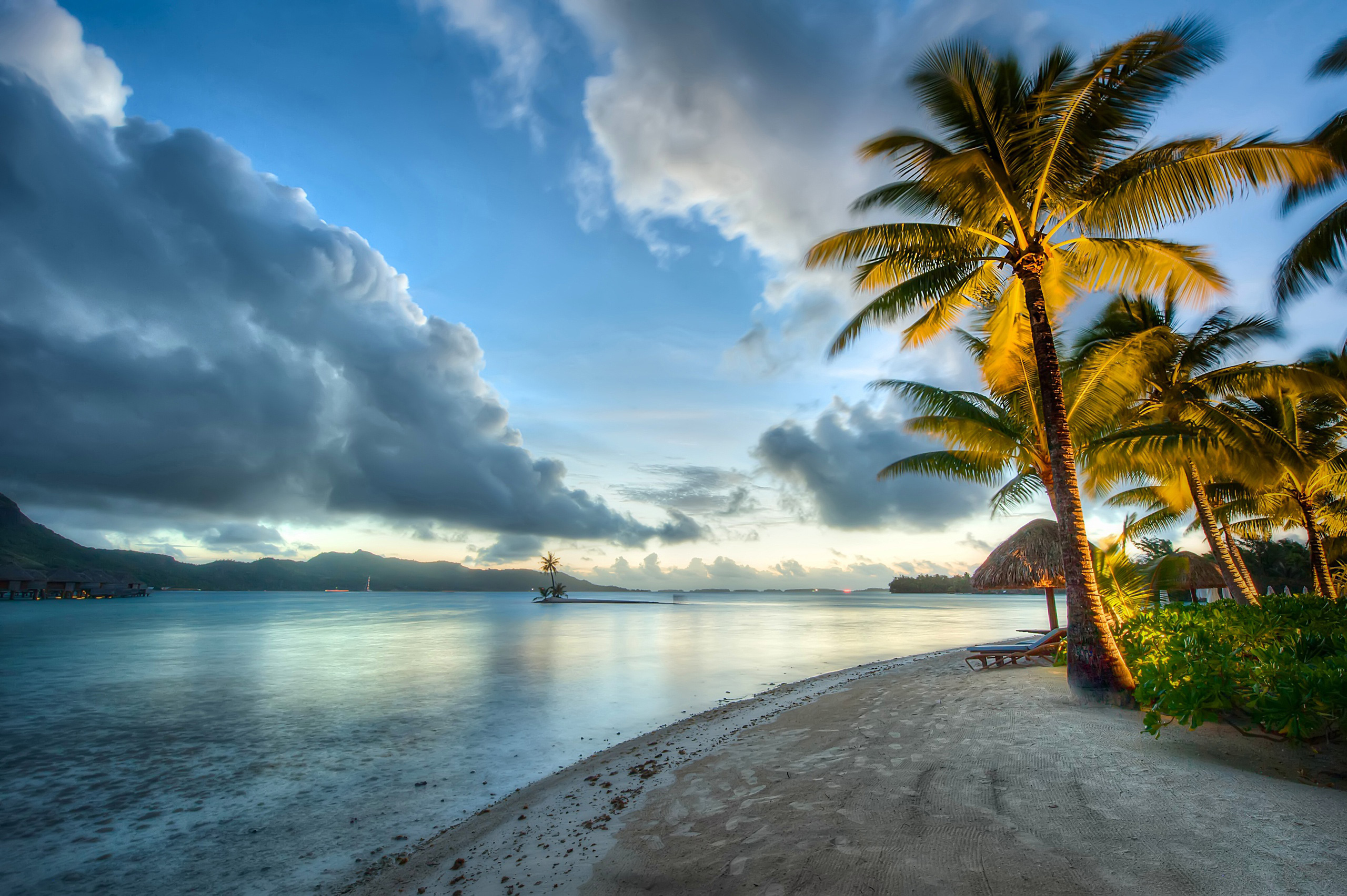 Tropical beach with palm trees and ocean at sunset HD Wallpaper