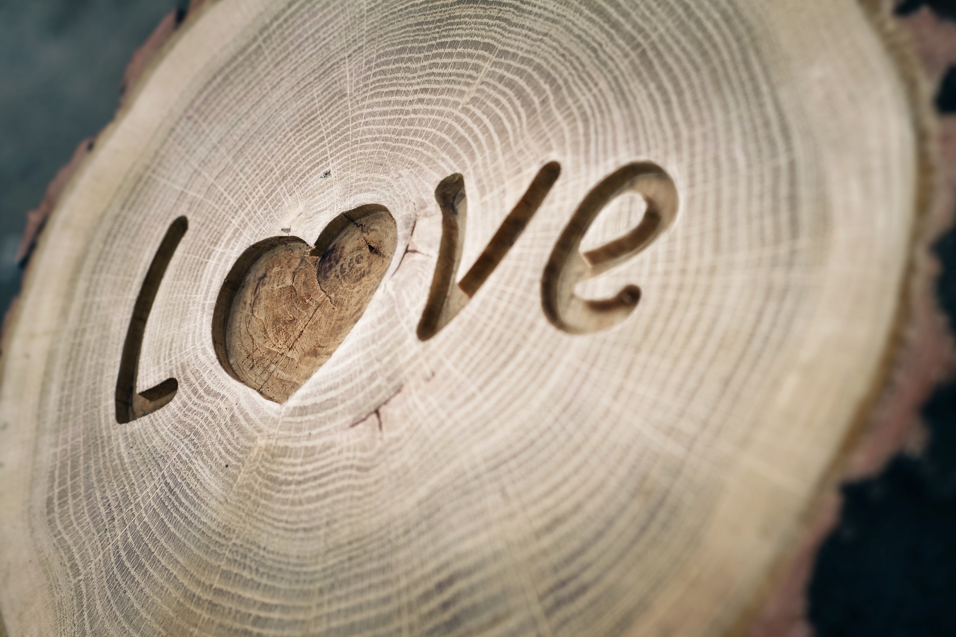 Carved word LOVE with heart on wood slice HD Wallpaper