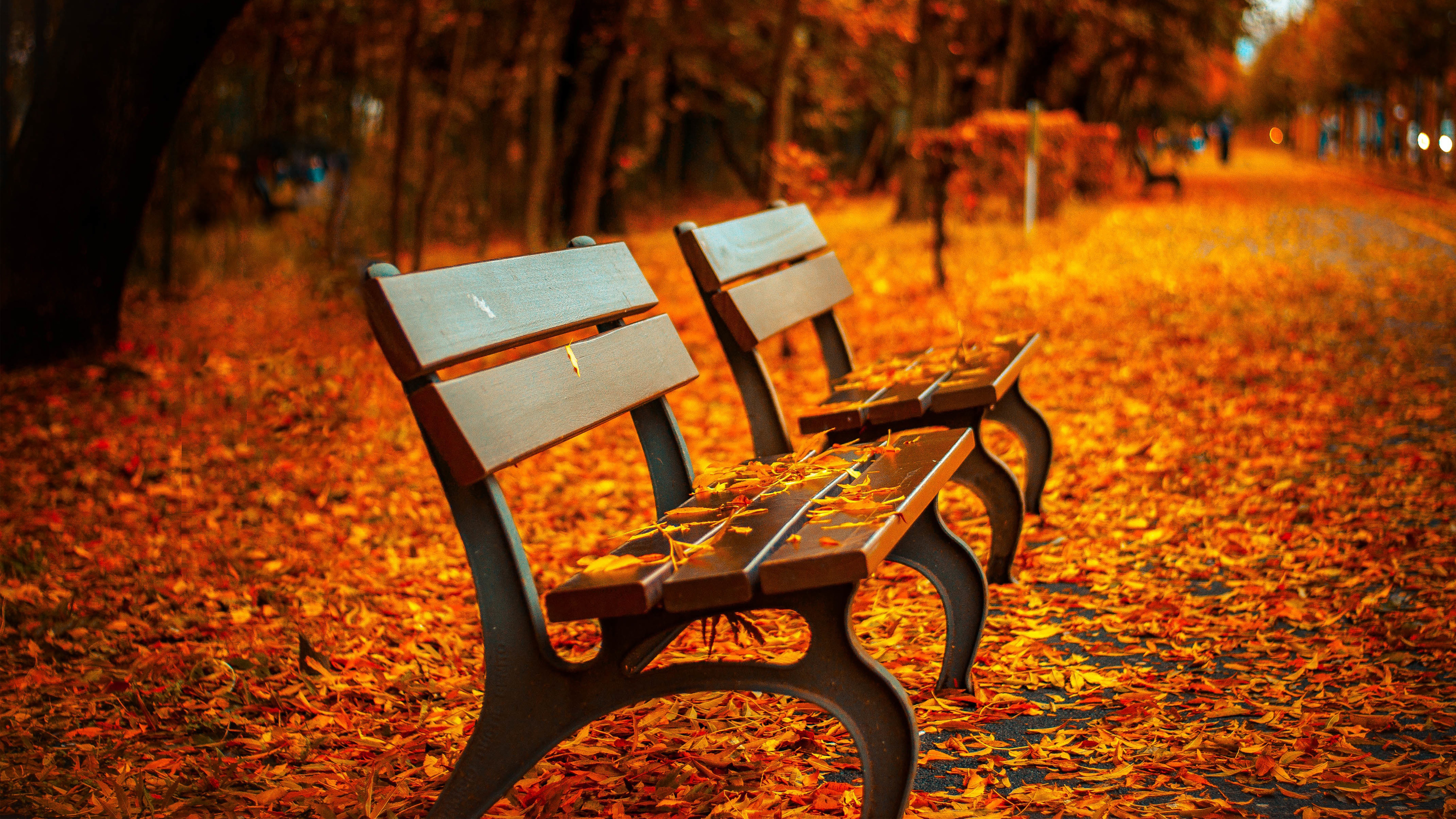 Autumn park with benches covered in leaves HD Wallpaper