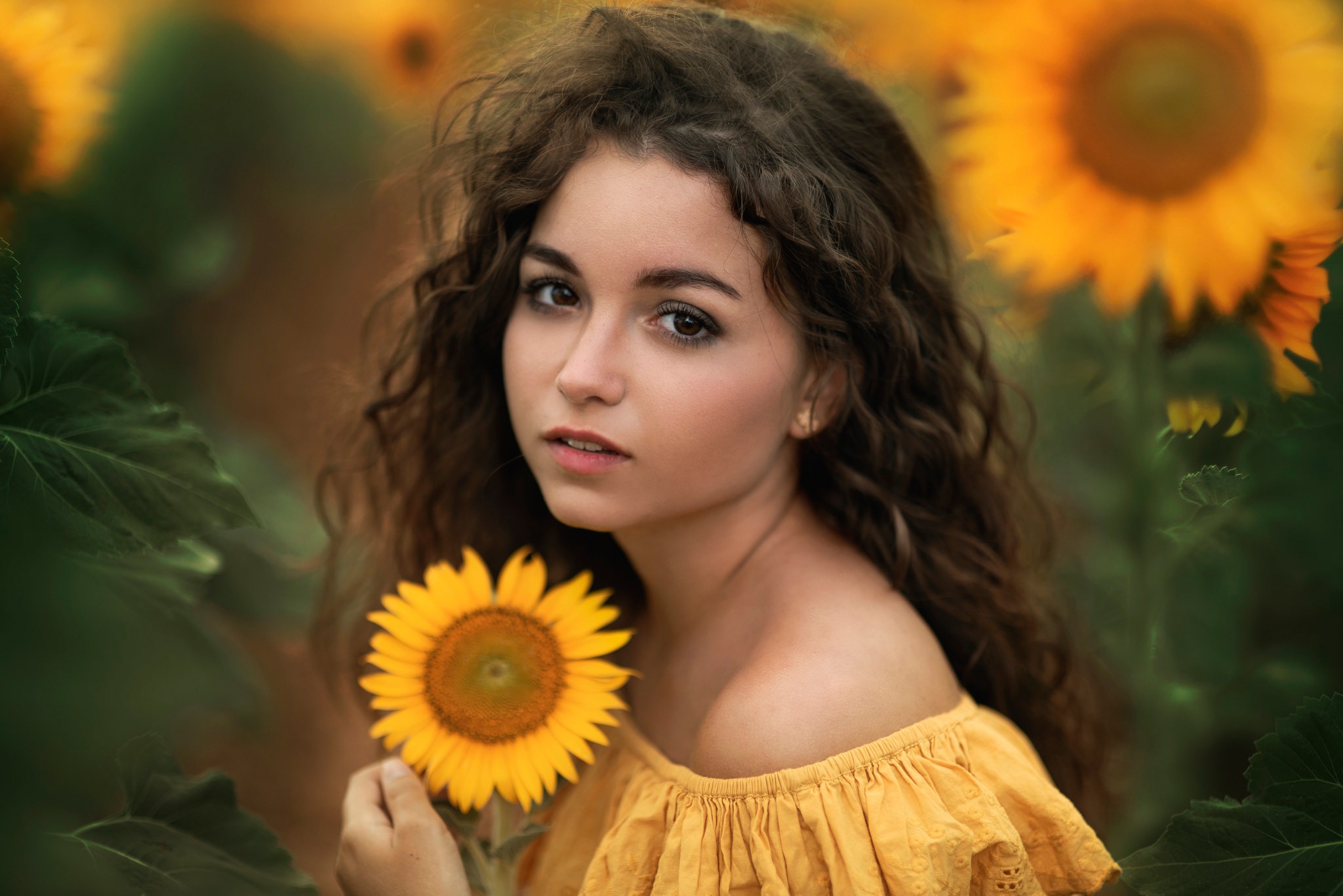 Girl with sunflower in a field of sunflowers HD Wallpaper