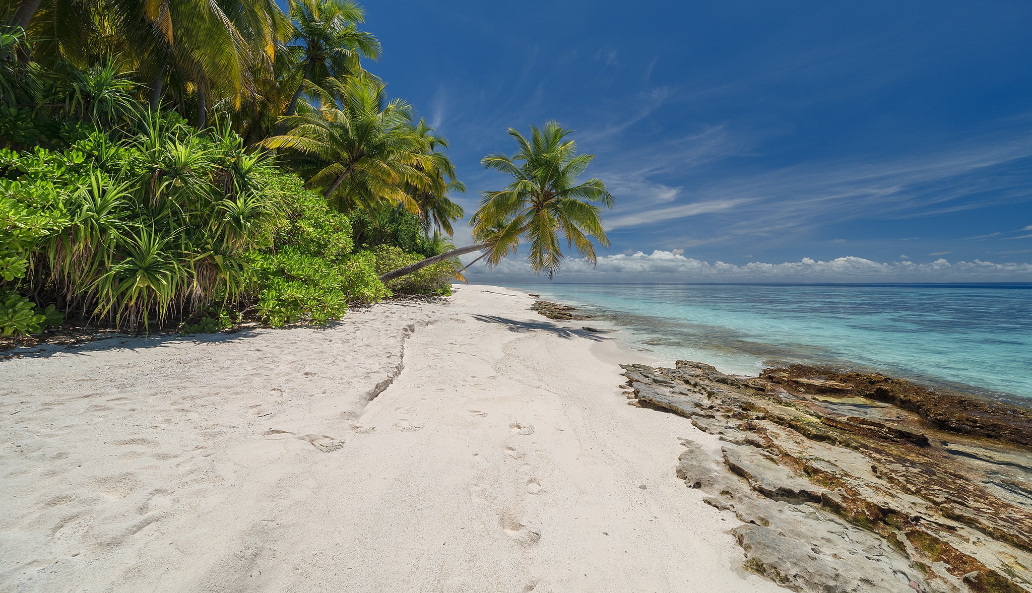 Tropical beach with palm trees and turquoise ocean HD Wallpaper