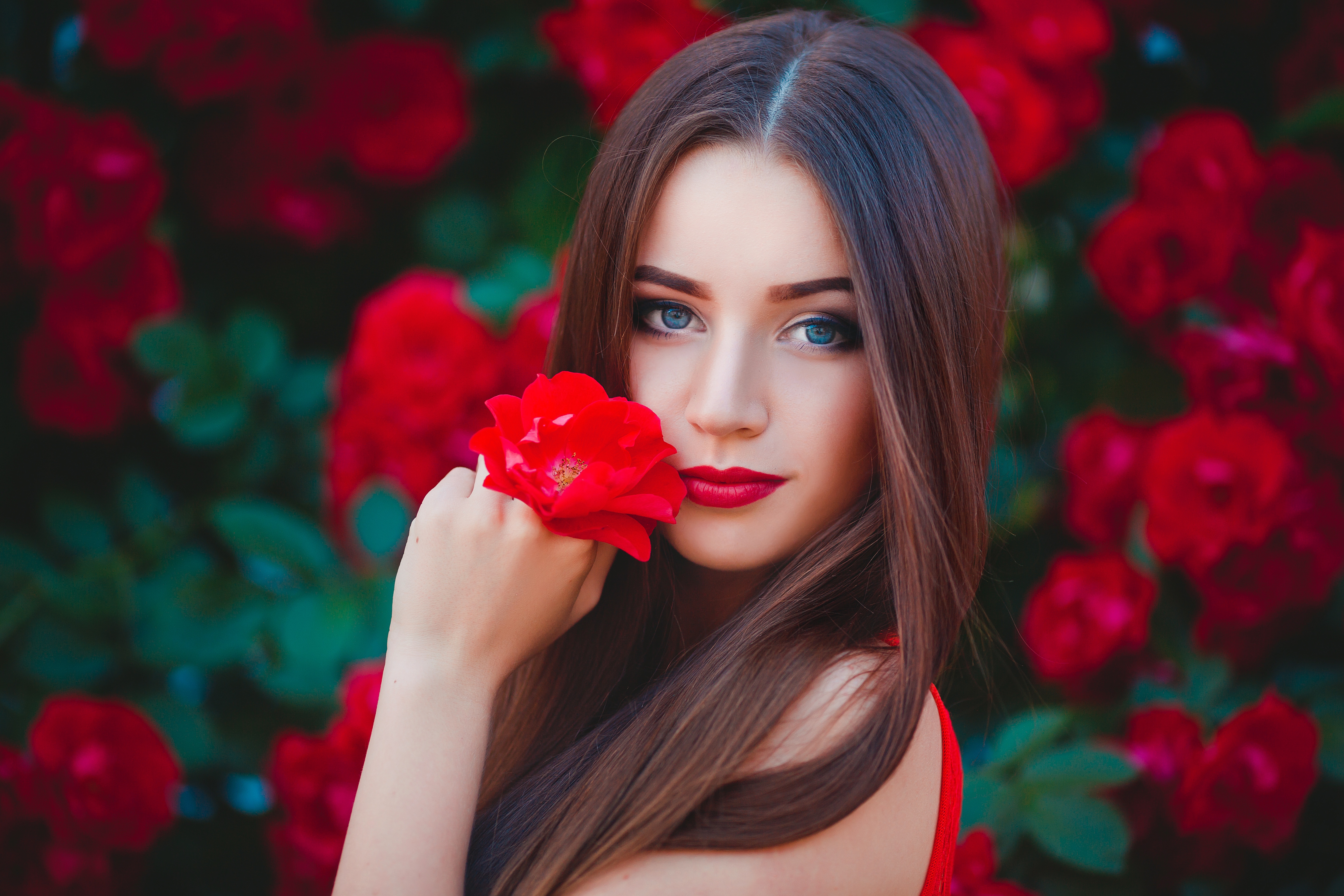 Woman with long brown hair holding a red rose HD Wallpaper