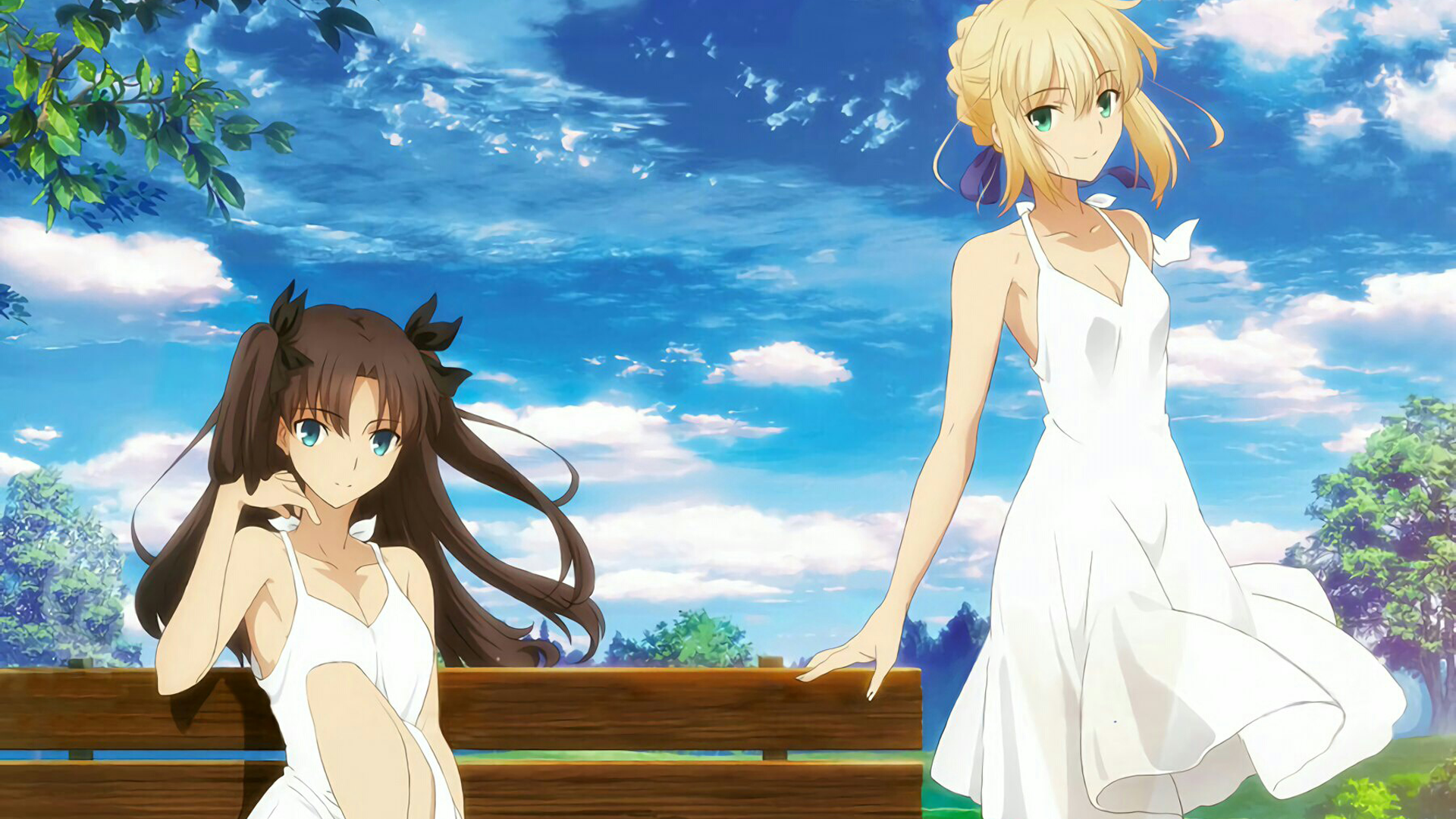 Saber and Rin Tohsaka from Fate Series HD Wallpaper