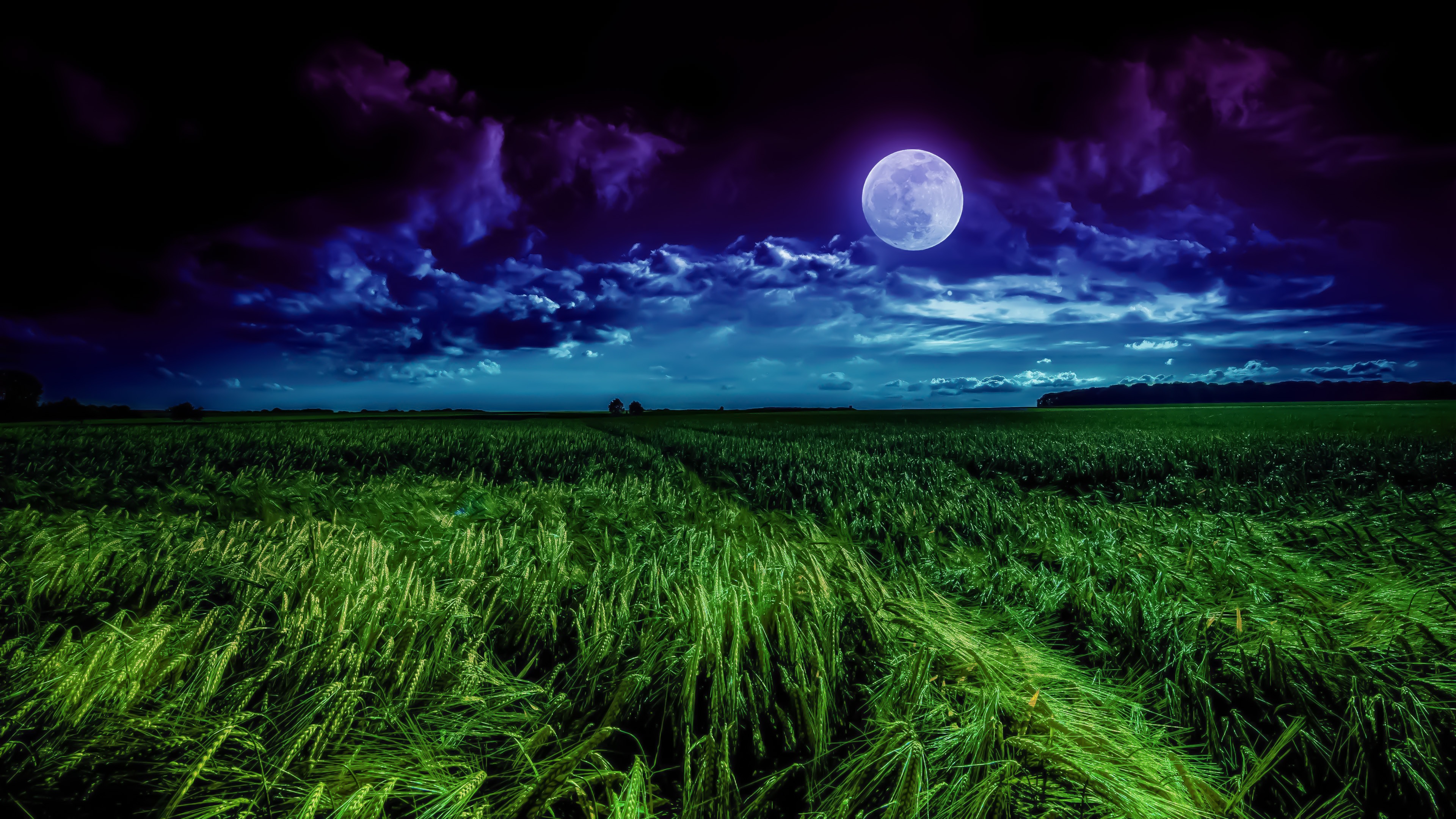 Moonlit grass field landscape 4K HD Wallpaper