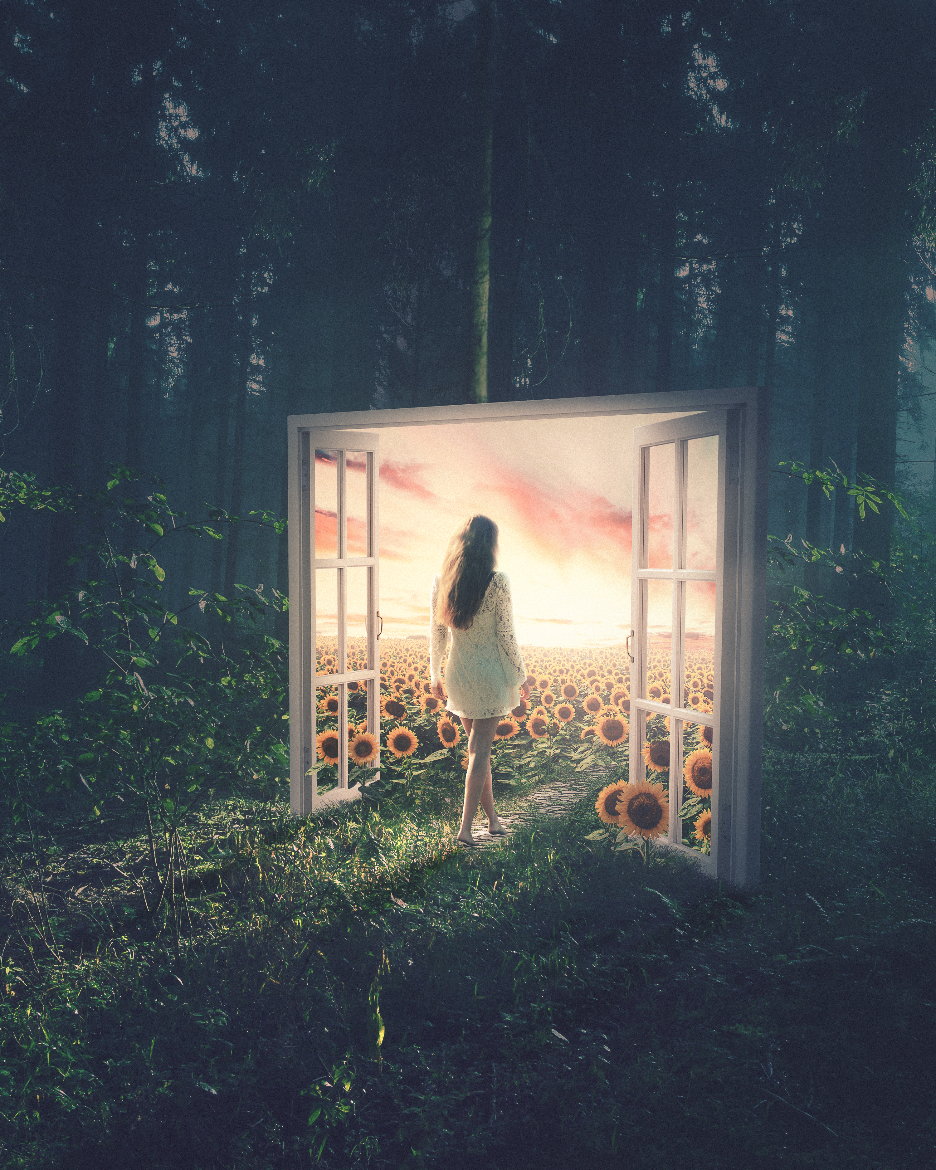 Girl in a white dress in a surreal forest with sunflowers HD Wallpaper