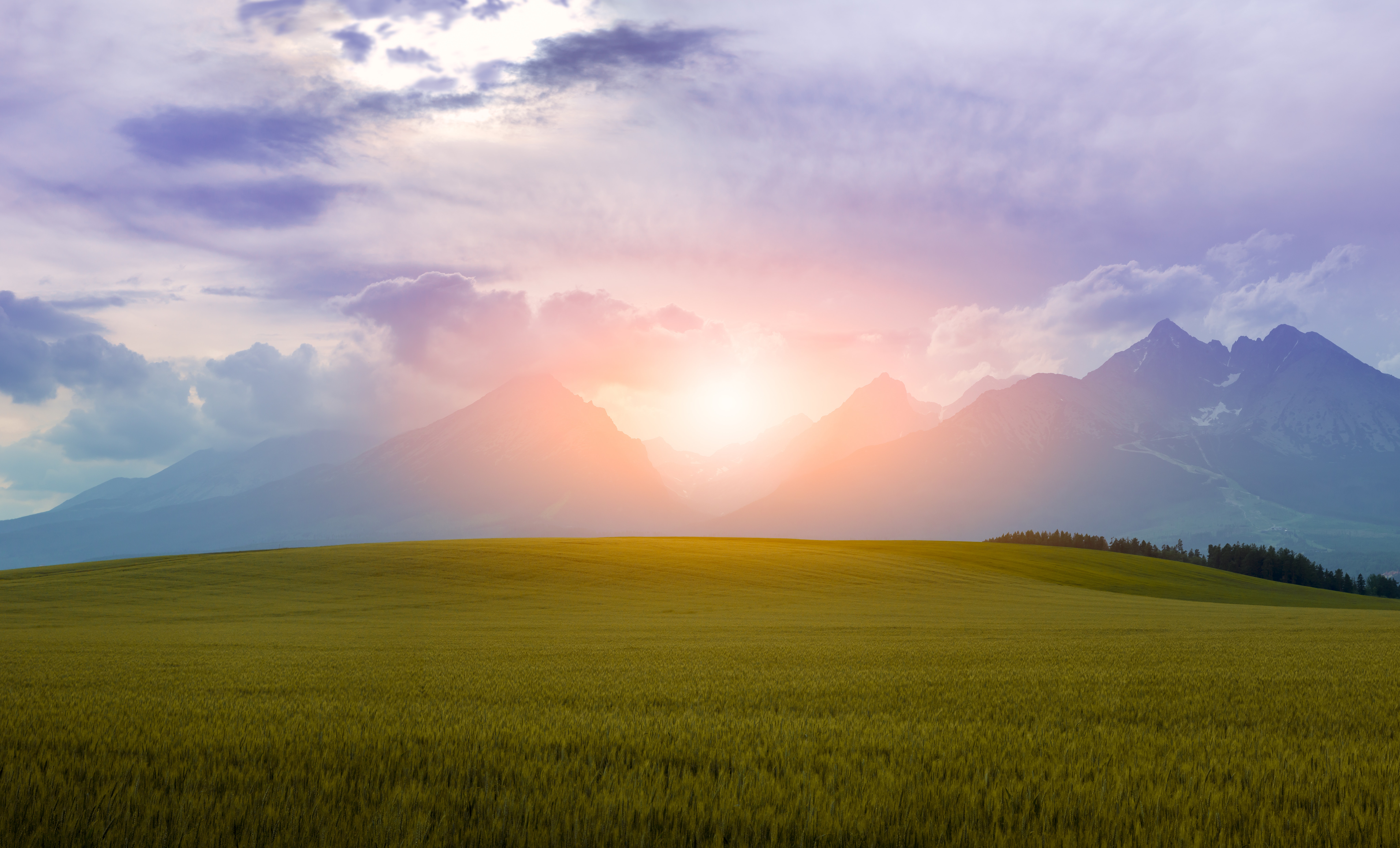 Sunset over a grassy field with mountains HD Wallpaper