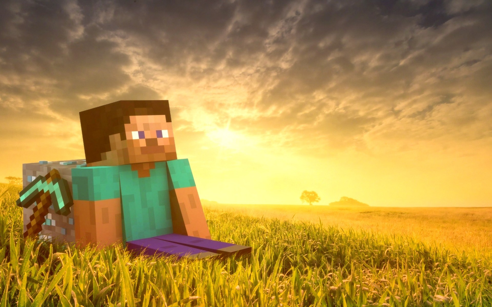 Steve from Minecraft sitting in a field at sunset HD Wallpaper