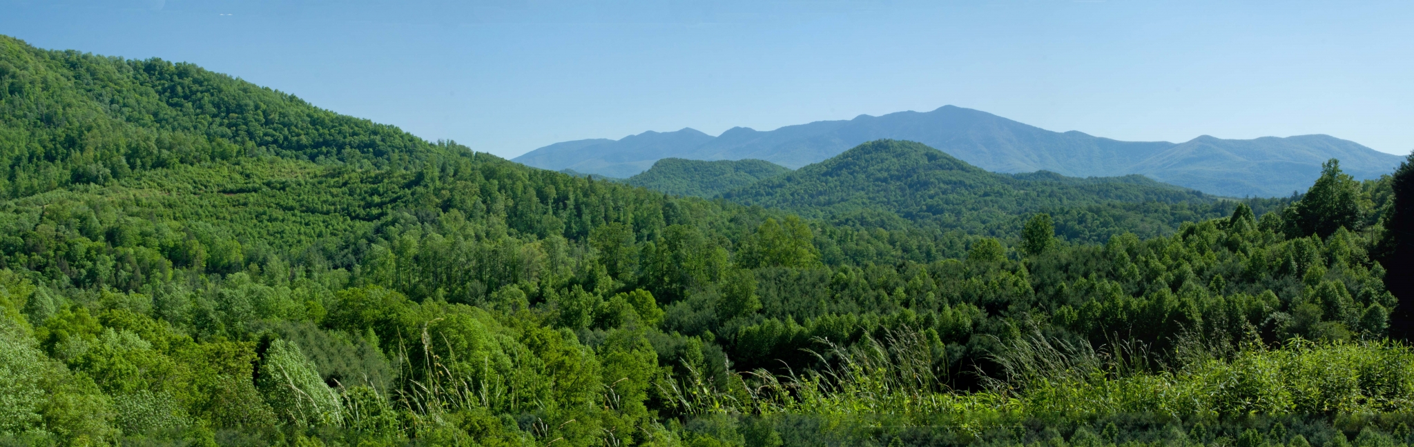 Mountain range with green forests and blue sky HD Wallpaper
