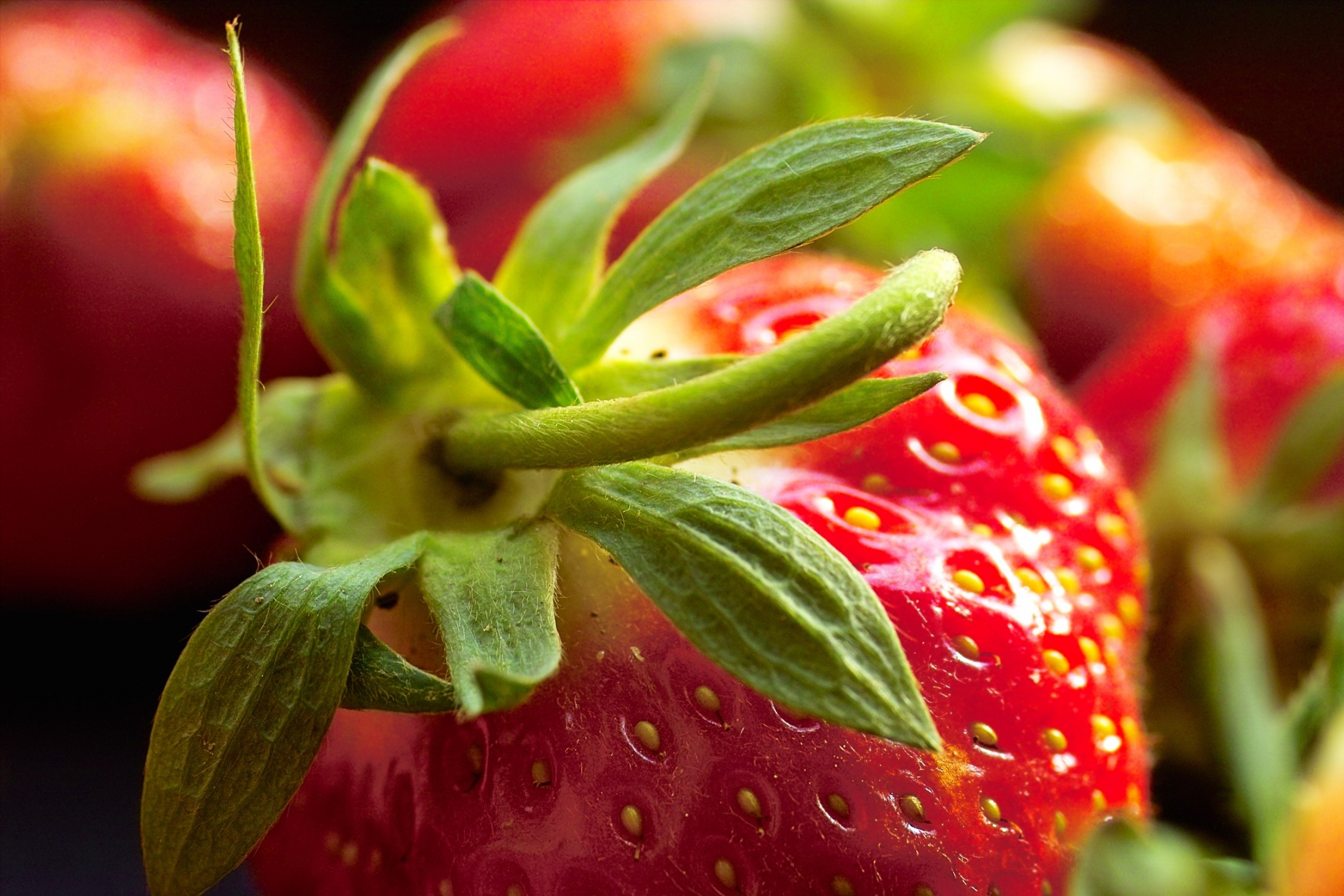 Close-up of a Ripe Strawberry with Green Leaves HD Wallpaper