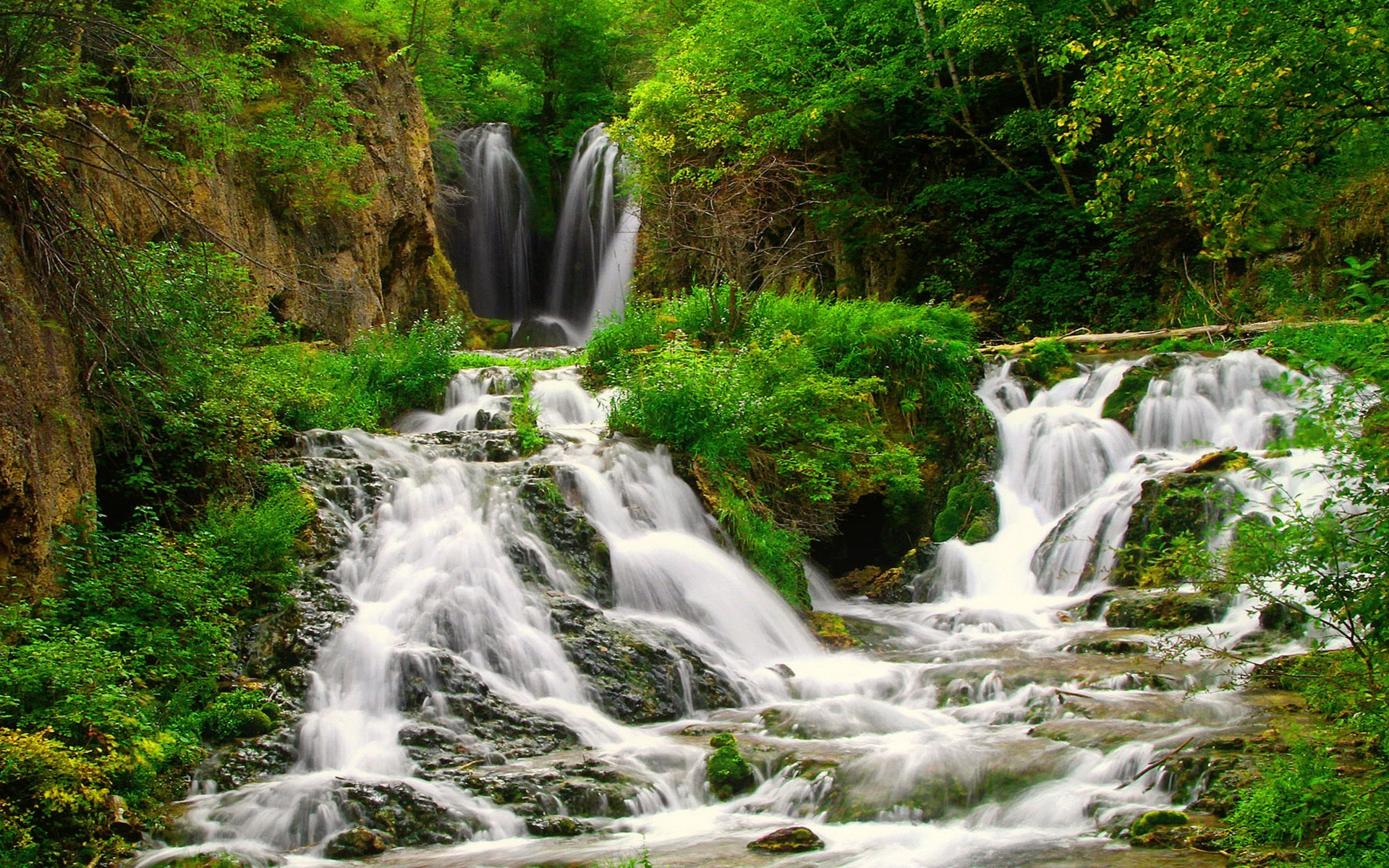 Beautiful waterfall cascading through a lush green forest HD Wallpaper