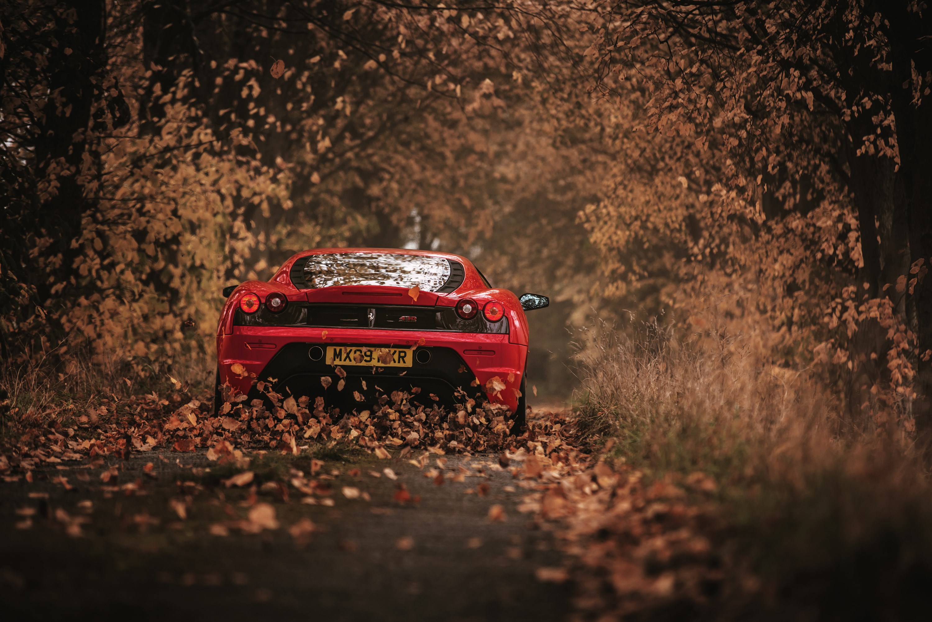 Red Ferrari F430 on a leaf-covered road HD Wallpaper