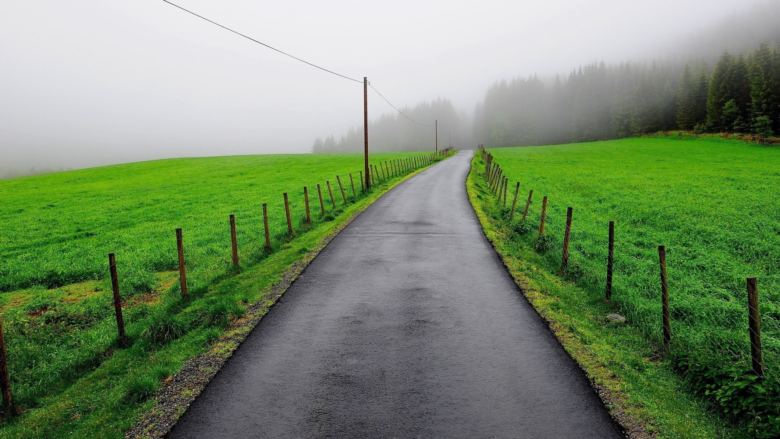 Asphalt road through green fields and foggy forest HD Wallpaper