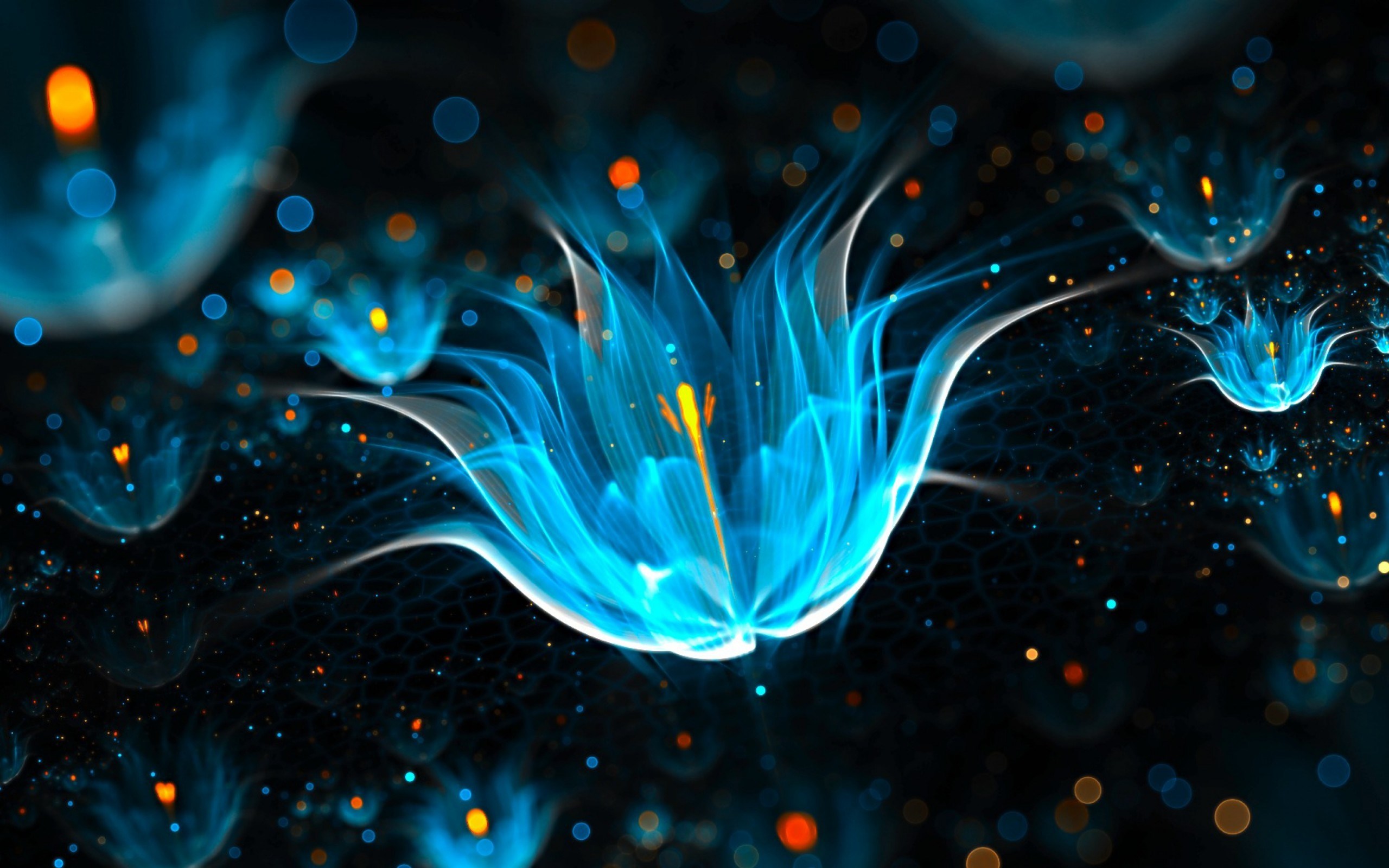 Blue fractal flowers with bokeh lights HD Wallpaper