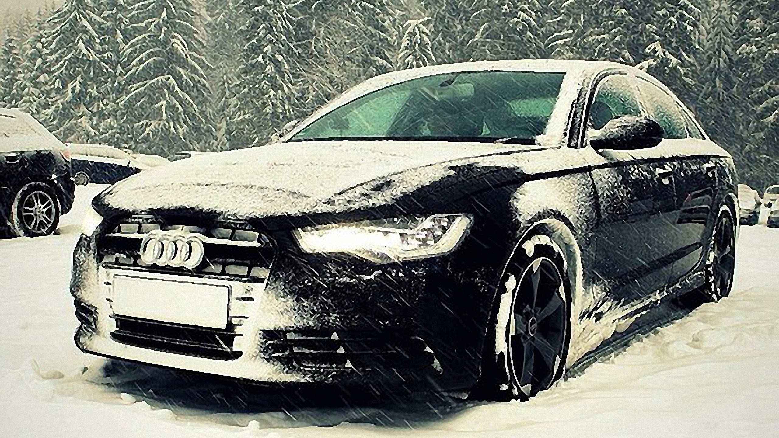 Audi car covered in snow in a forest HD Wallpaper