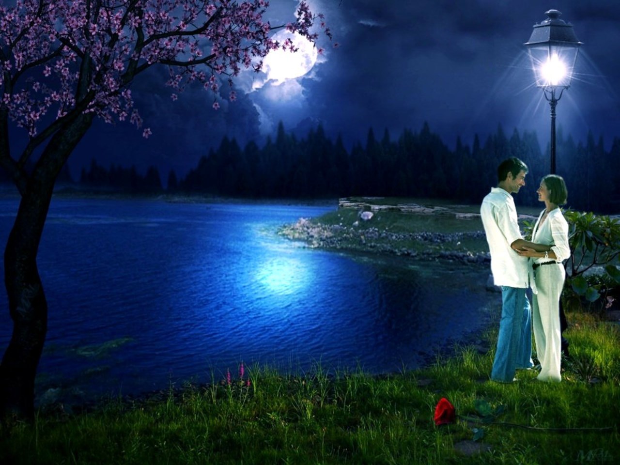 Couple under a lamp by a lake at night HD Wallpaper