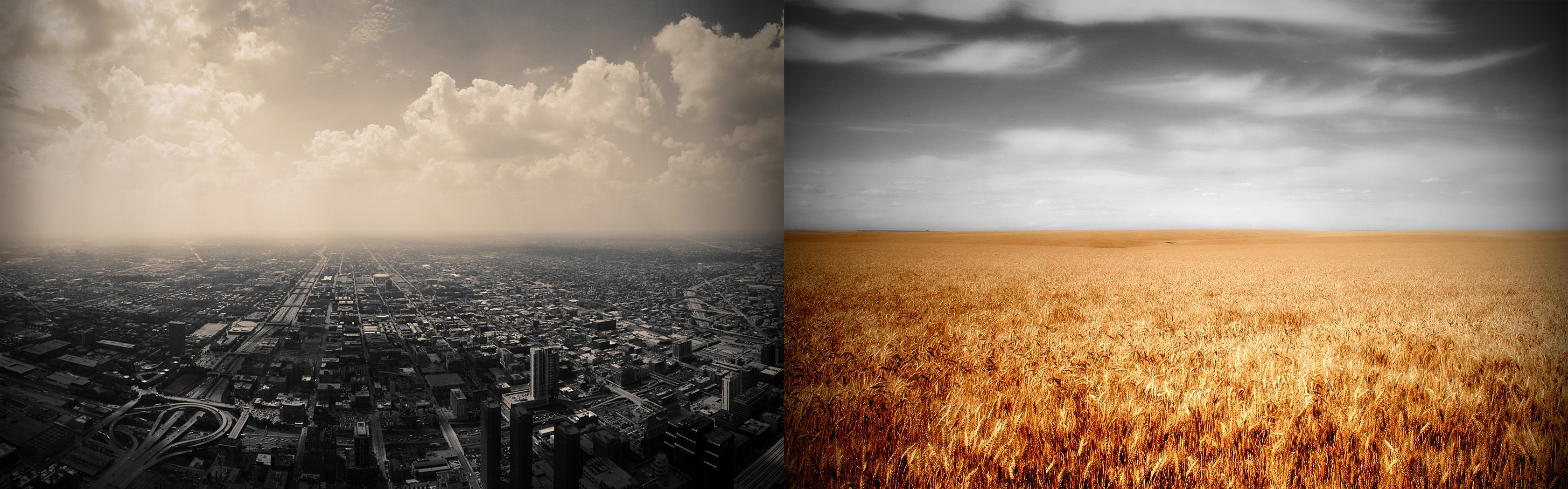 Aerial view of a city and a wheat field HD Wallpaper